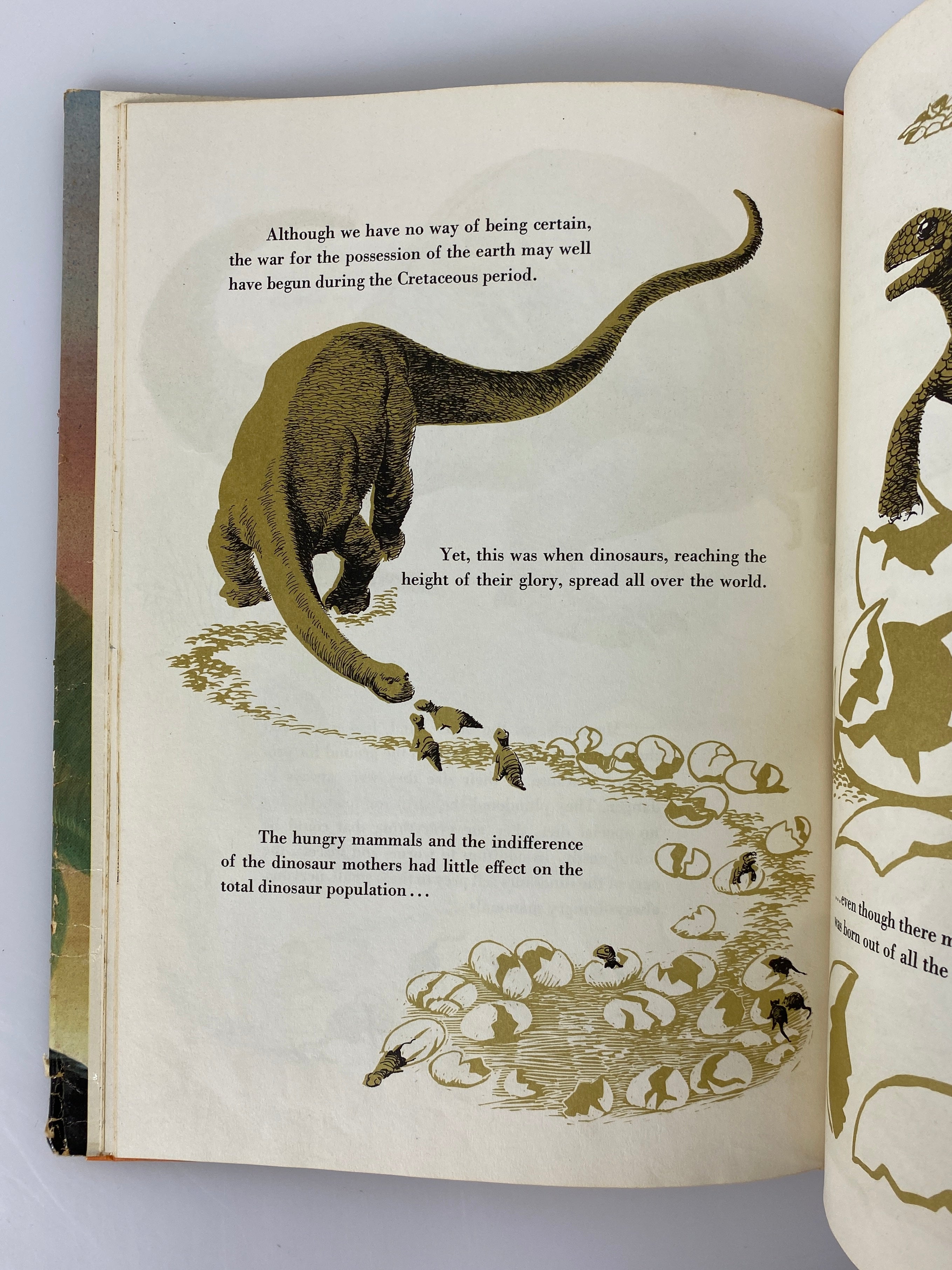 The Rise and Fall of the Dinosaurs by Anthony Ravielli 1963 Vintage HC DJ