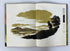The Rise and Fall of the Dinosaurs by Anthony Ravielli 1963 Vintage HC DJ