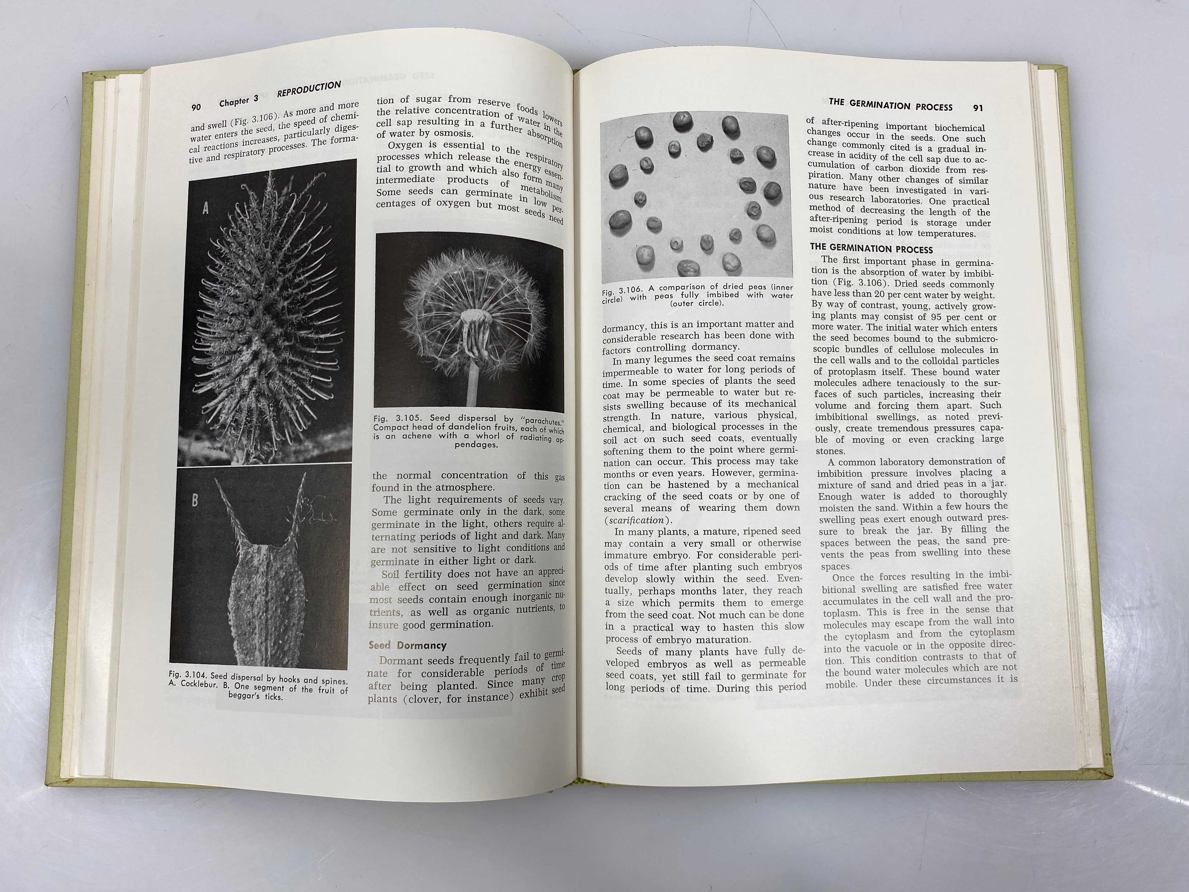 Form and Function in Plants by John D. Dodd 1962 HC