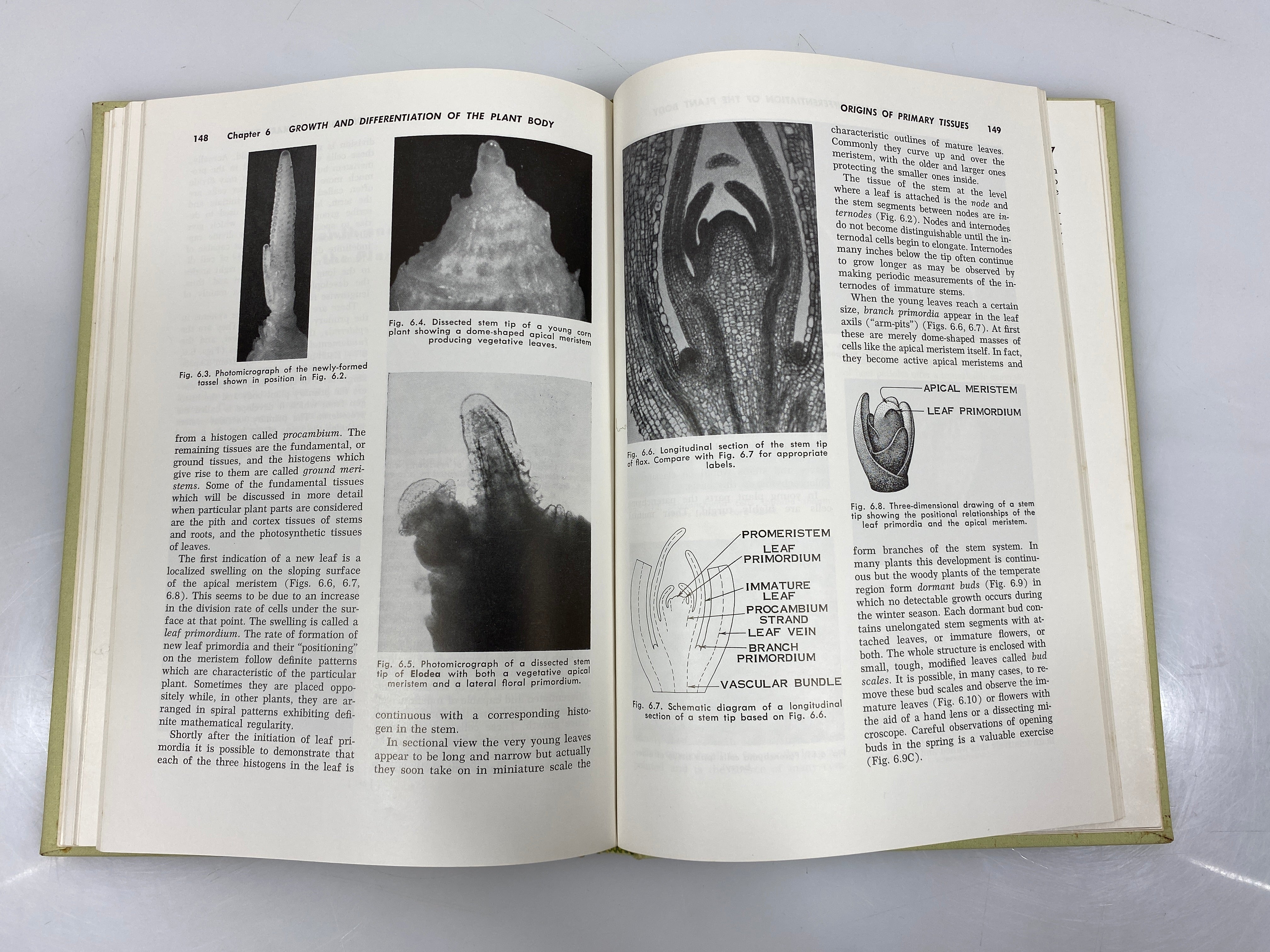 Form and Function in Plants by John D. Dodd 1962 HC