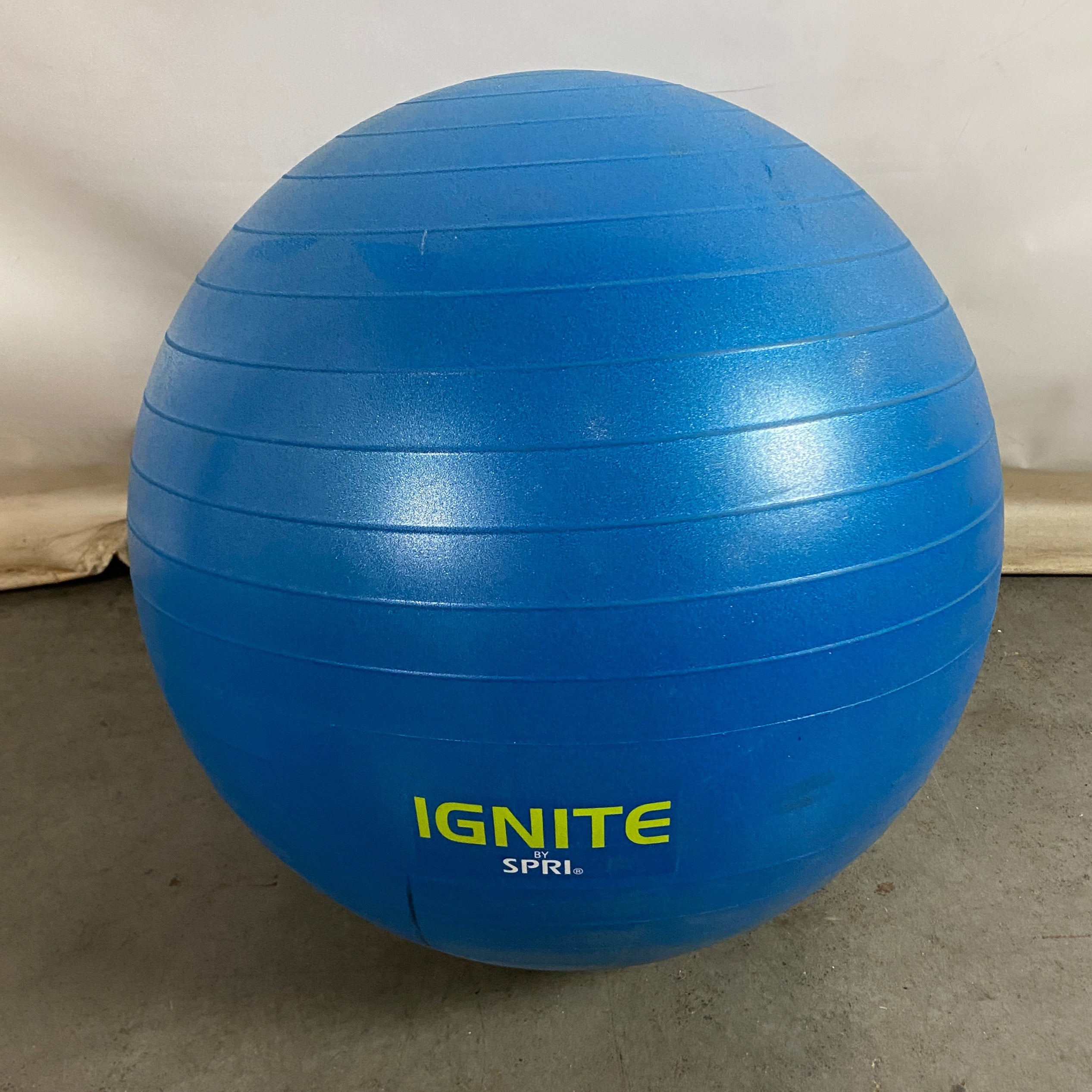 Spri "Ignite" Weighted Stability Balance Exercise Ball