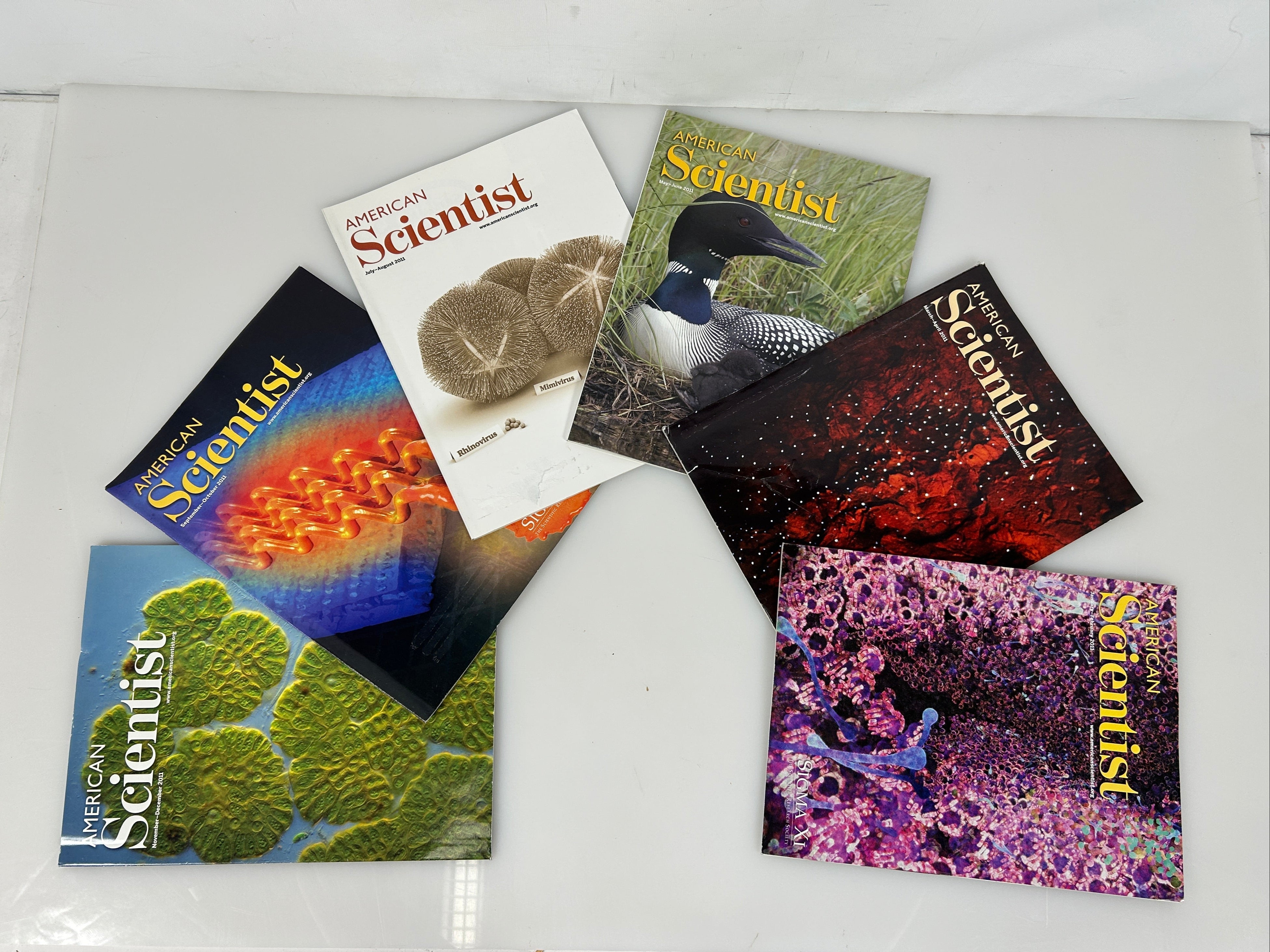 American Scientist Magazine 2011 Lot Complete Year (6 Issues)
