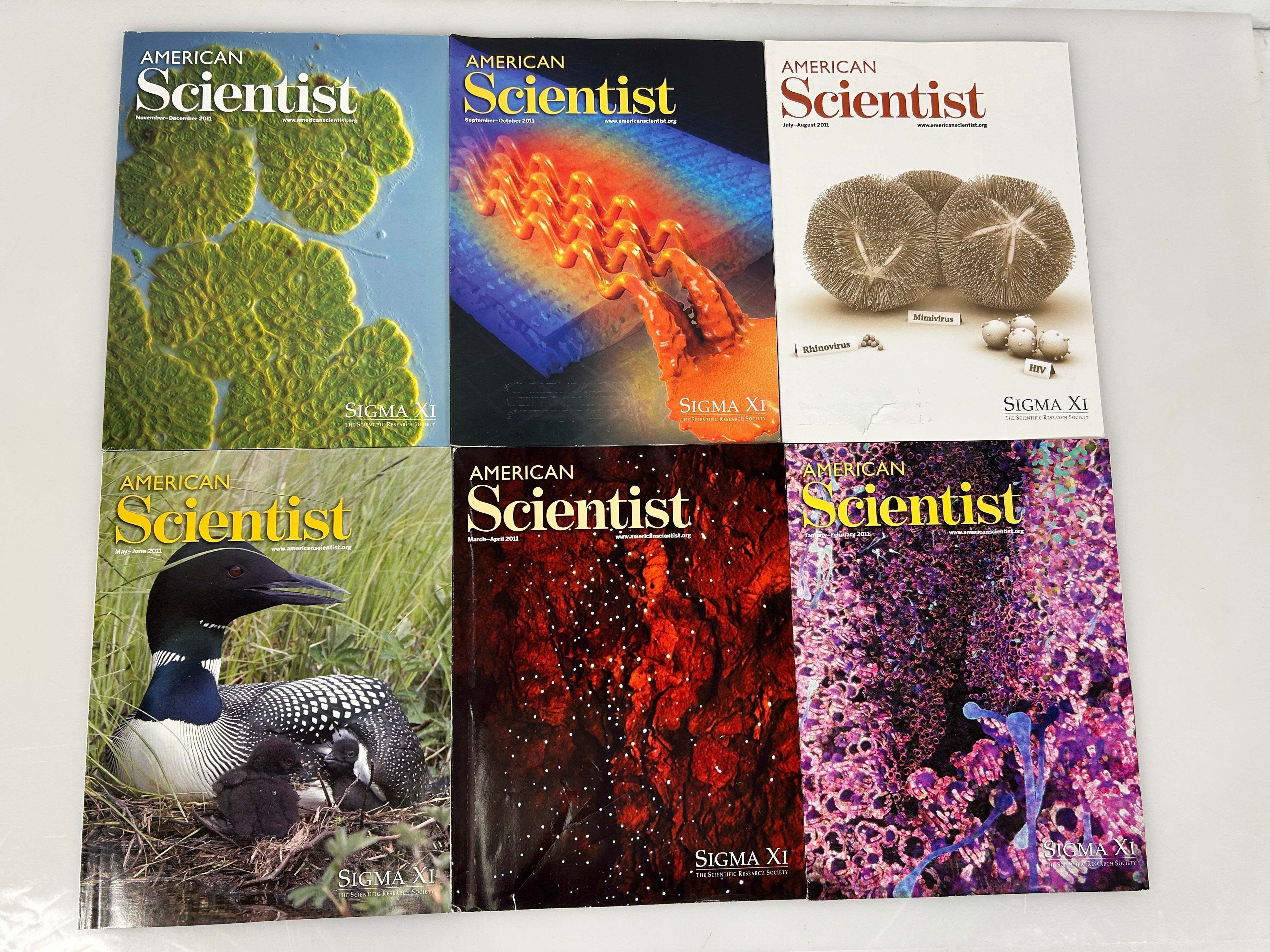 American Scientist Magazine 2011 Lot Complete Year (6 Issues)