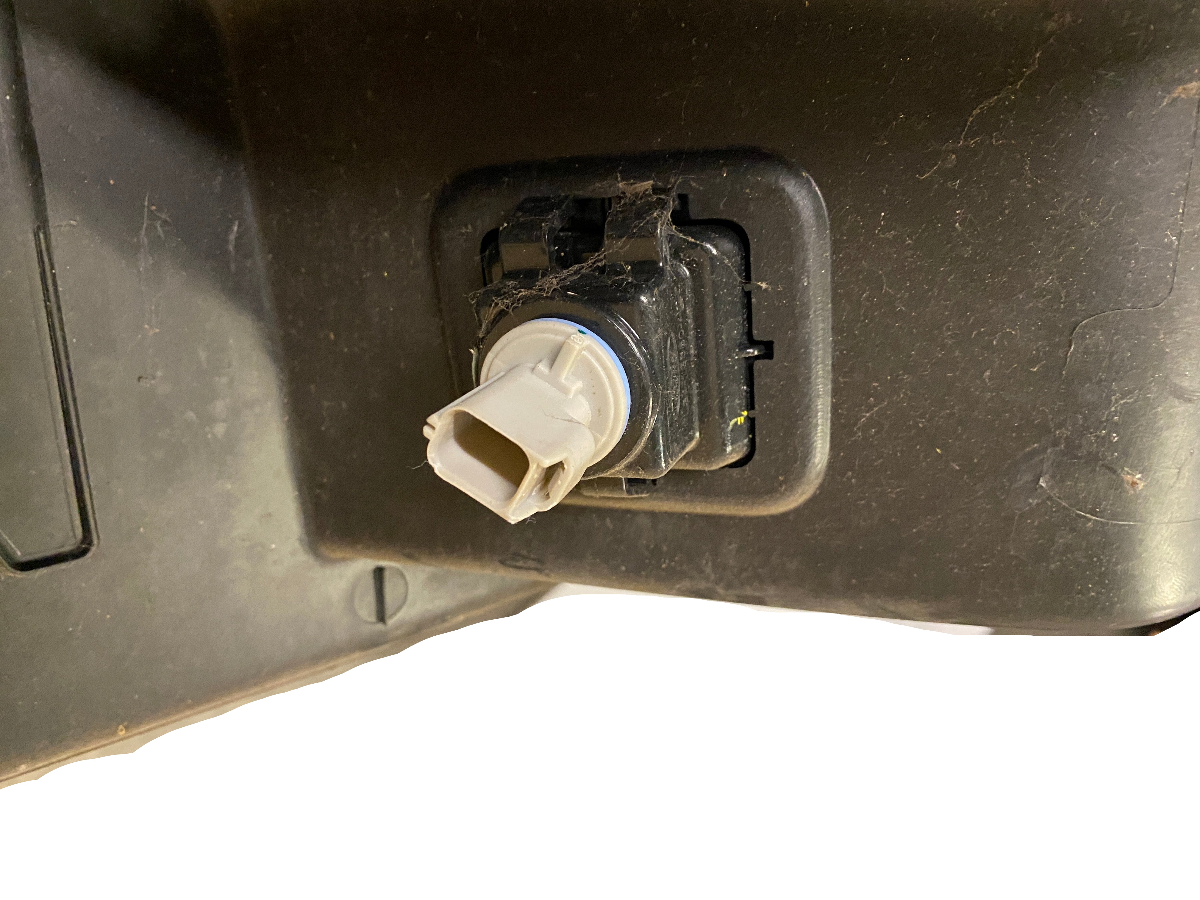 Ford White F150 Tailgate