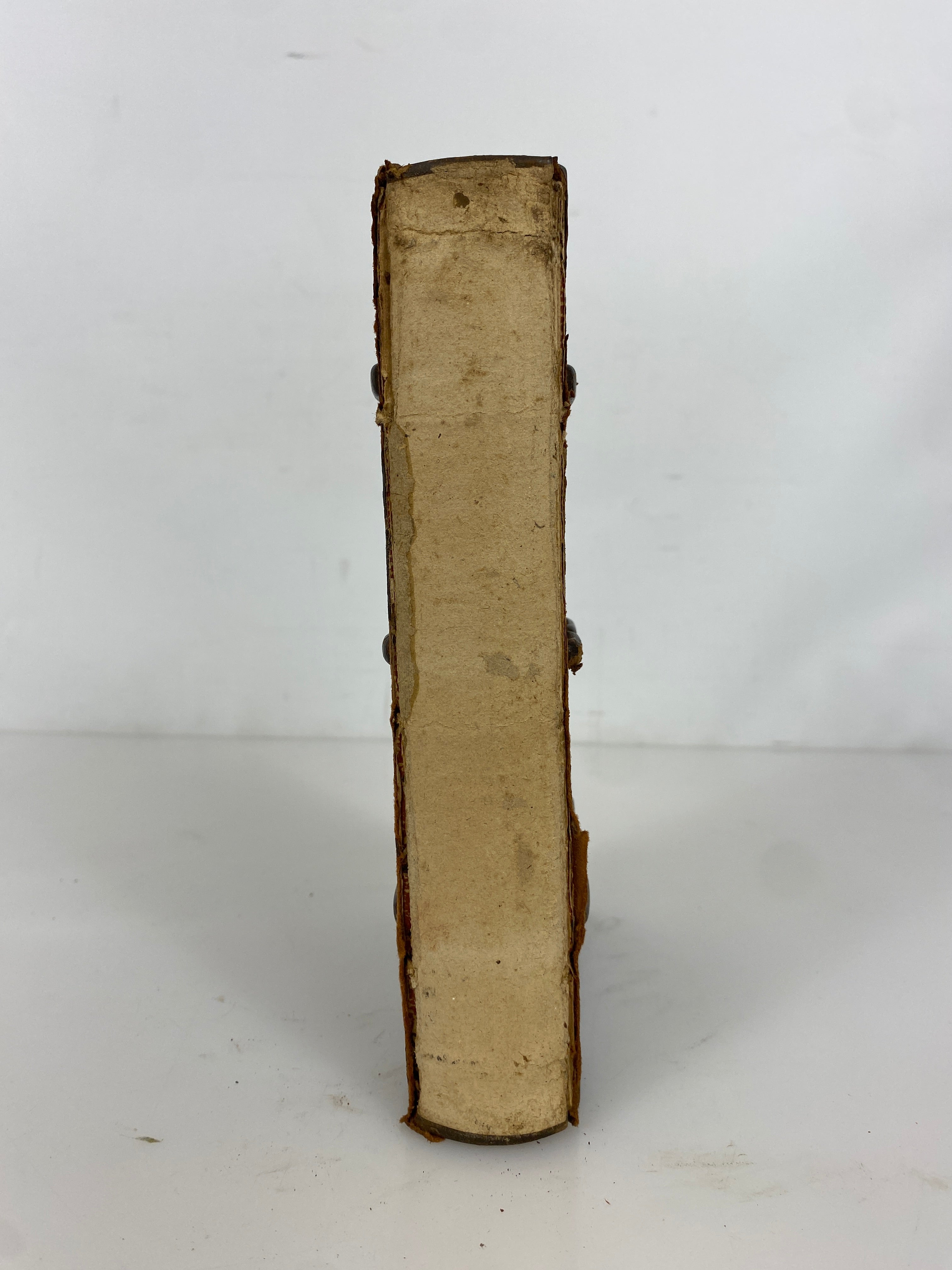 Beatrice D'Este Duchess of Milan by Cartwright 1920 Rare Clasp Bound Leather