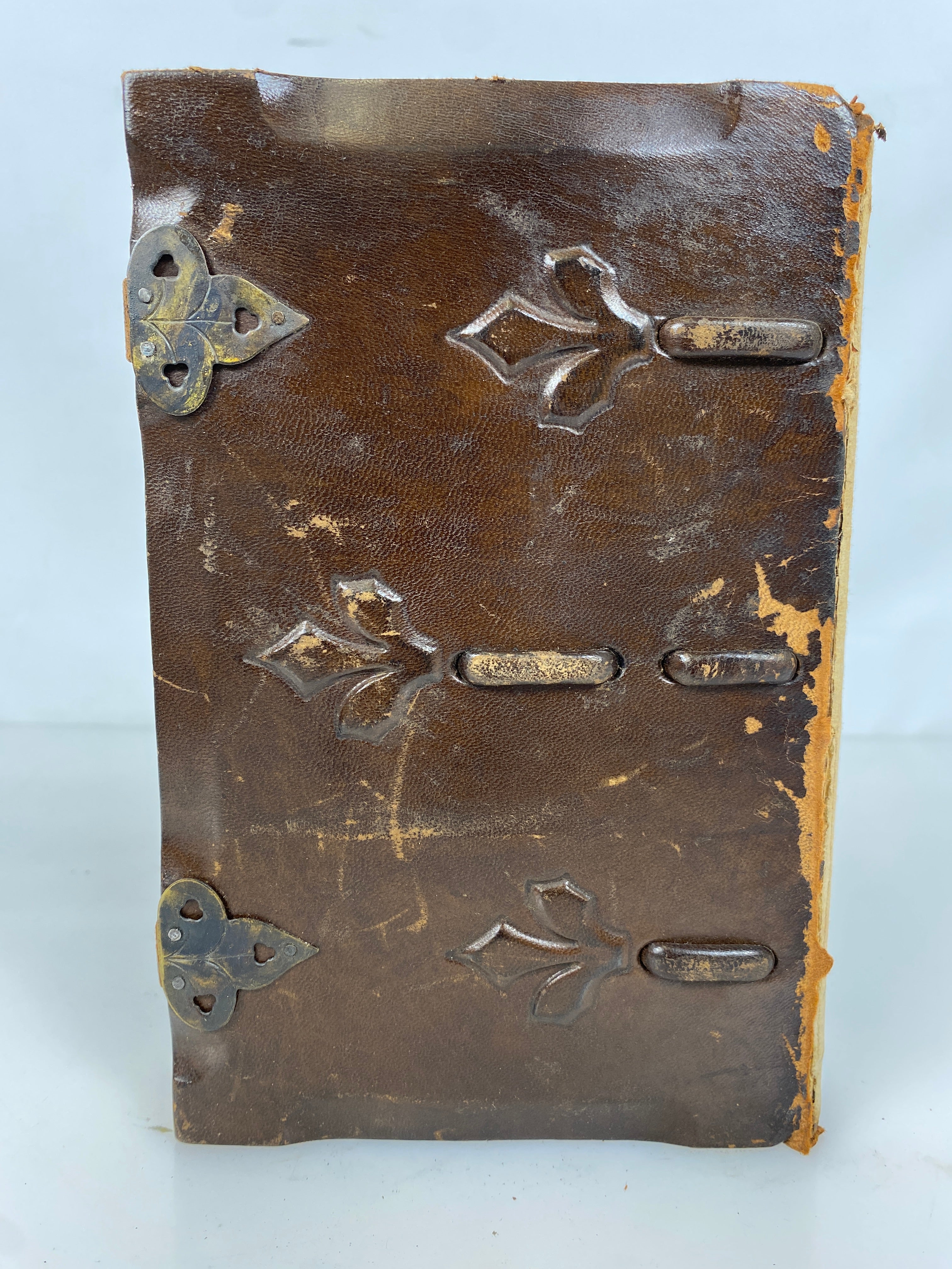 Beatrice D'Este Duchess of Milan by Cartwright 1920 Rare Clasp Bound Leather