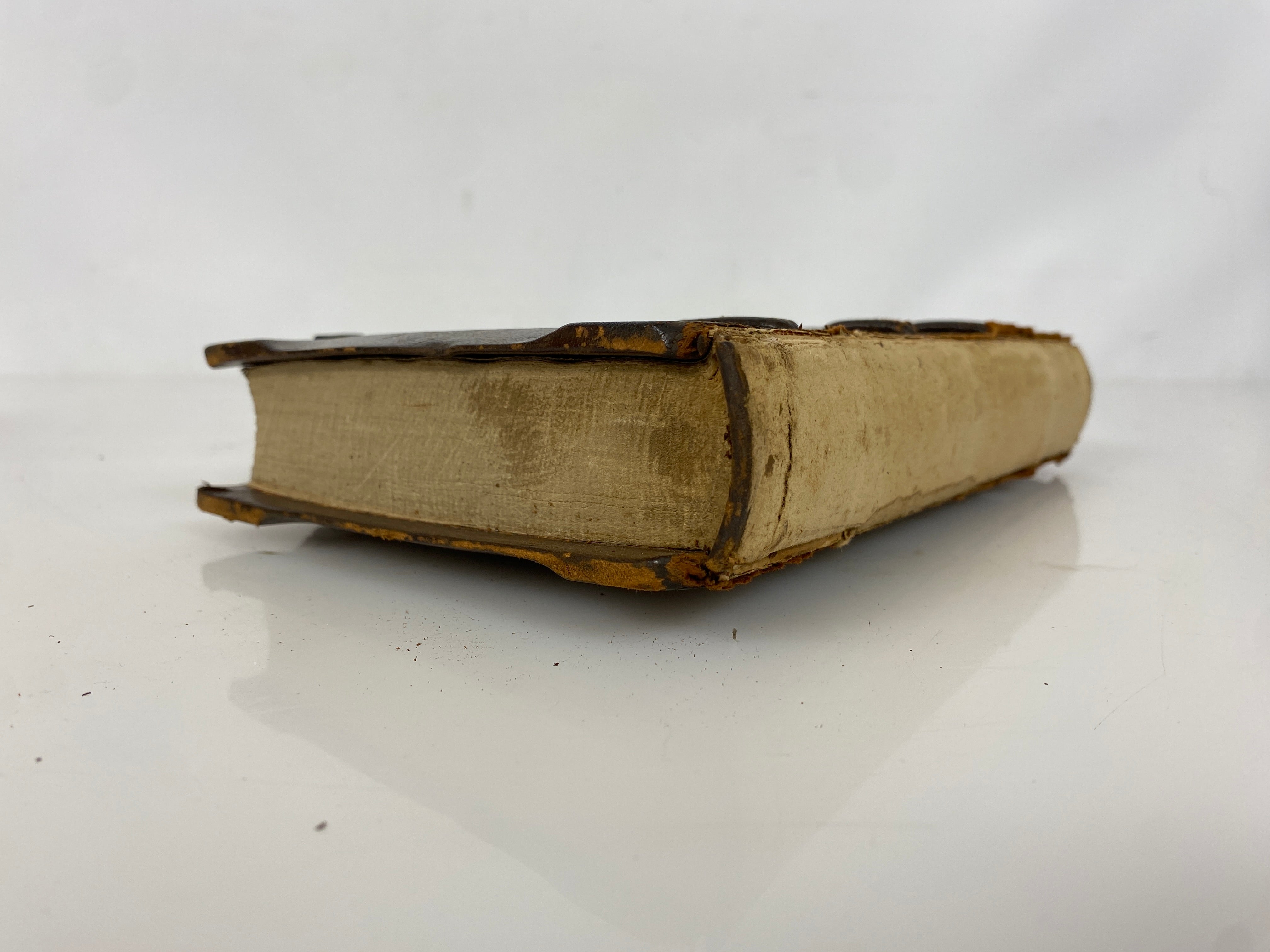 Beatrice D'Este Duchess of Milan by Cartwright 1920 Rare Clasp Bound Leather