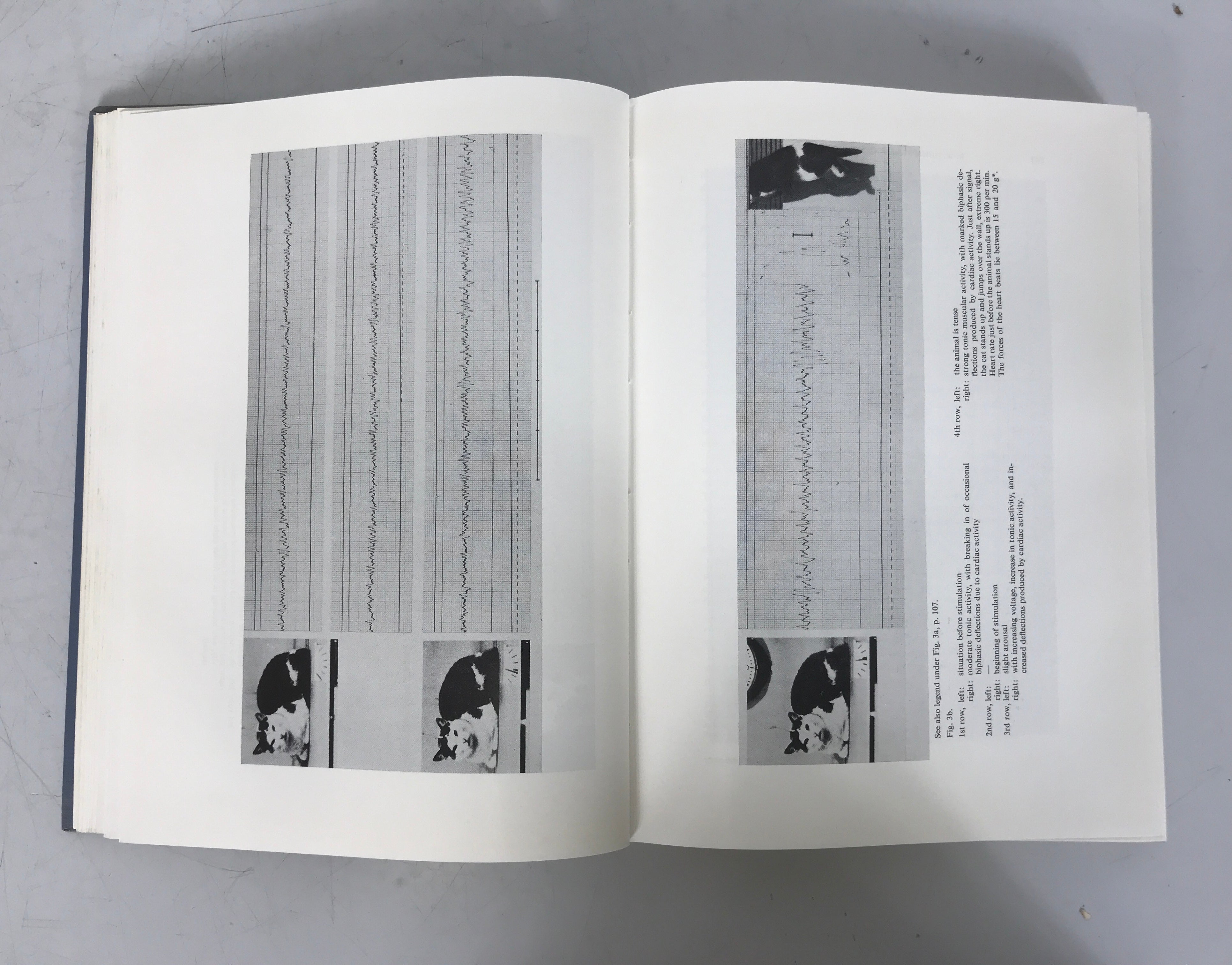 Structure and Function of the Limbic System Adey/Tokizane 1967 HC Ex-Library