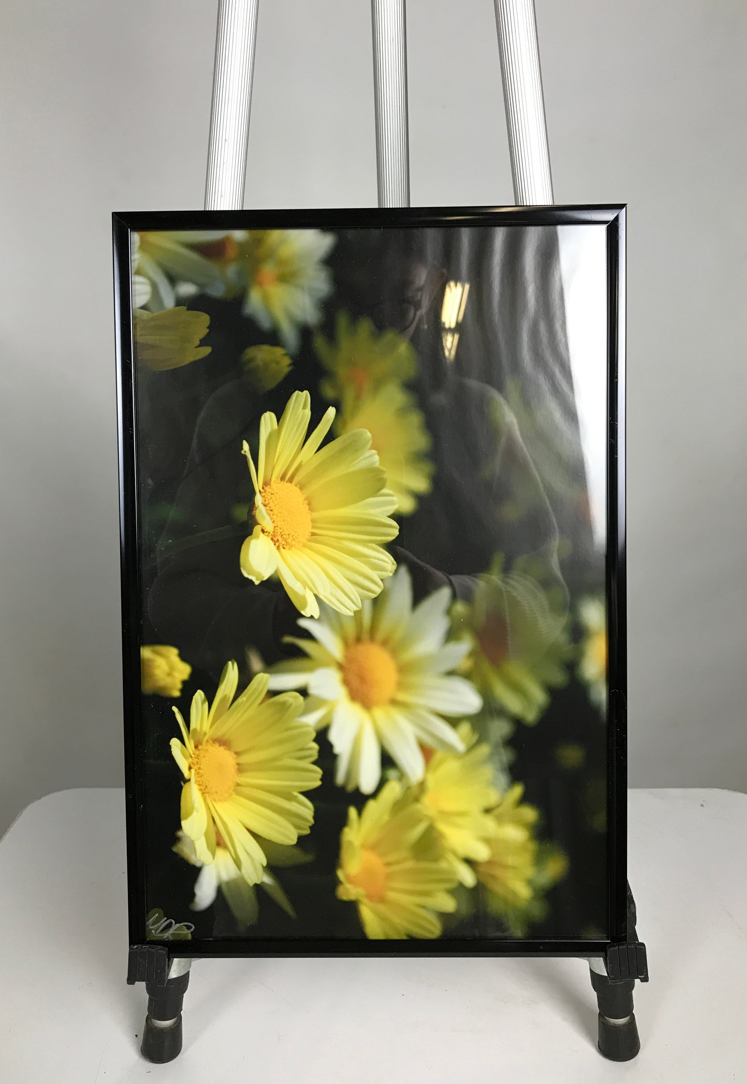 Black Framed Flower Pictures B