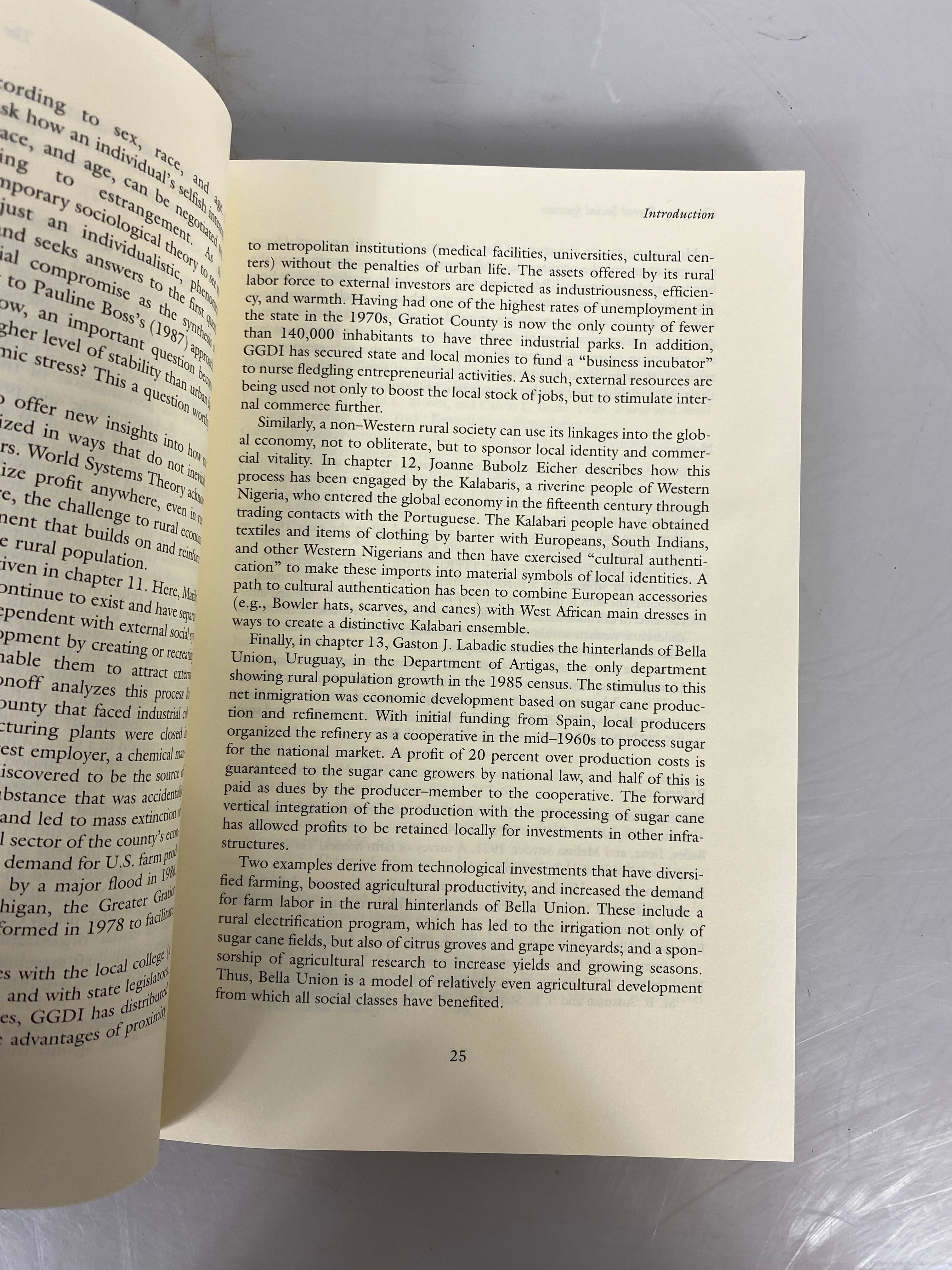 Changing Rural Social Systems: Adaptation and Survival by Johnson/Wang 1997 PB