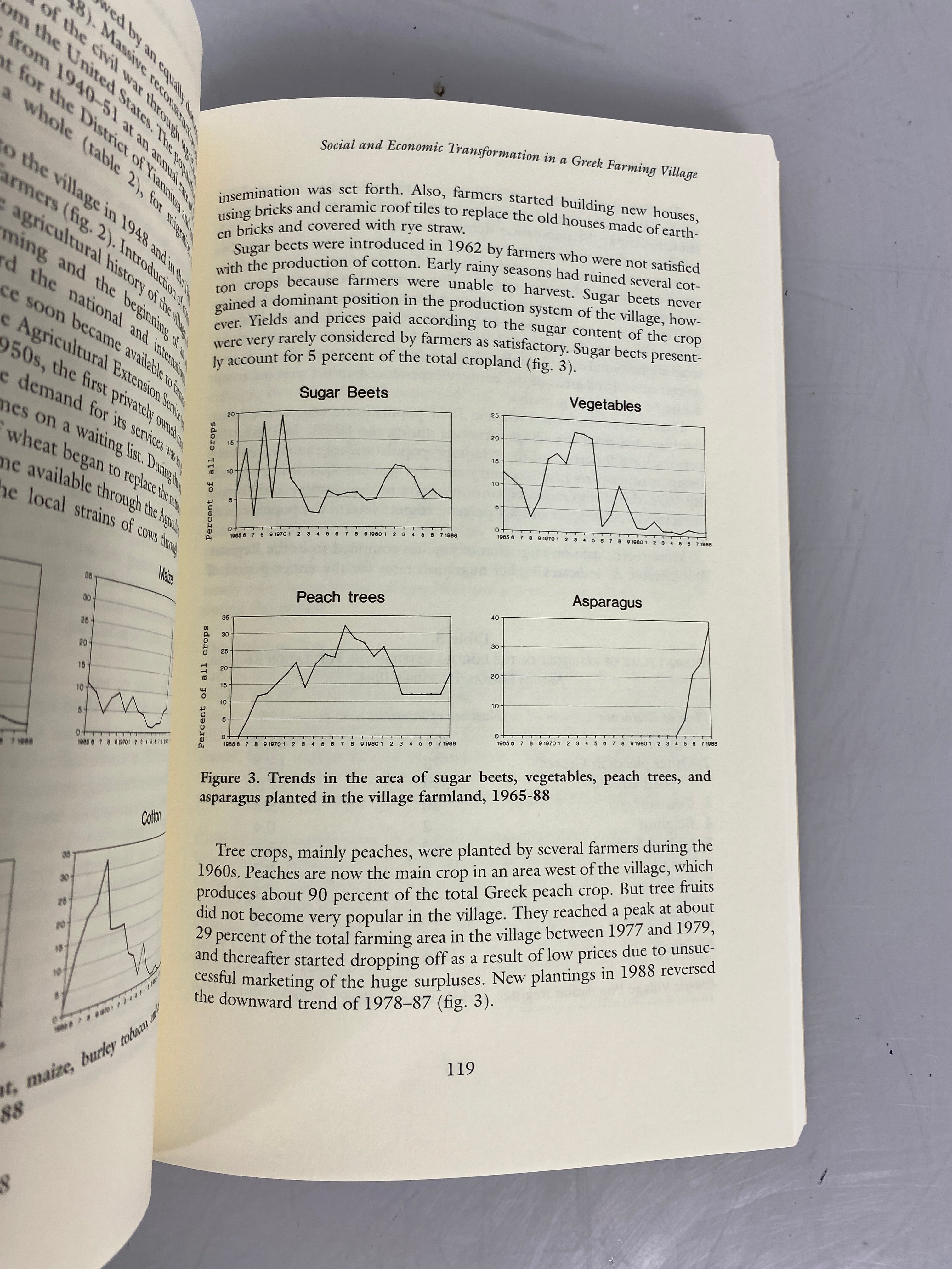Changing Rural Social Systems: Adaptation and Survival by Johnson/Wang 1997 PB