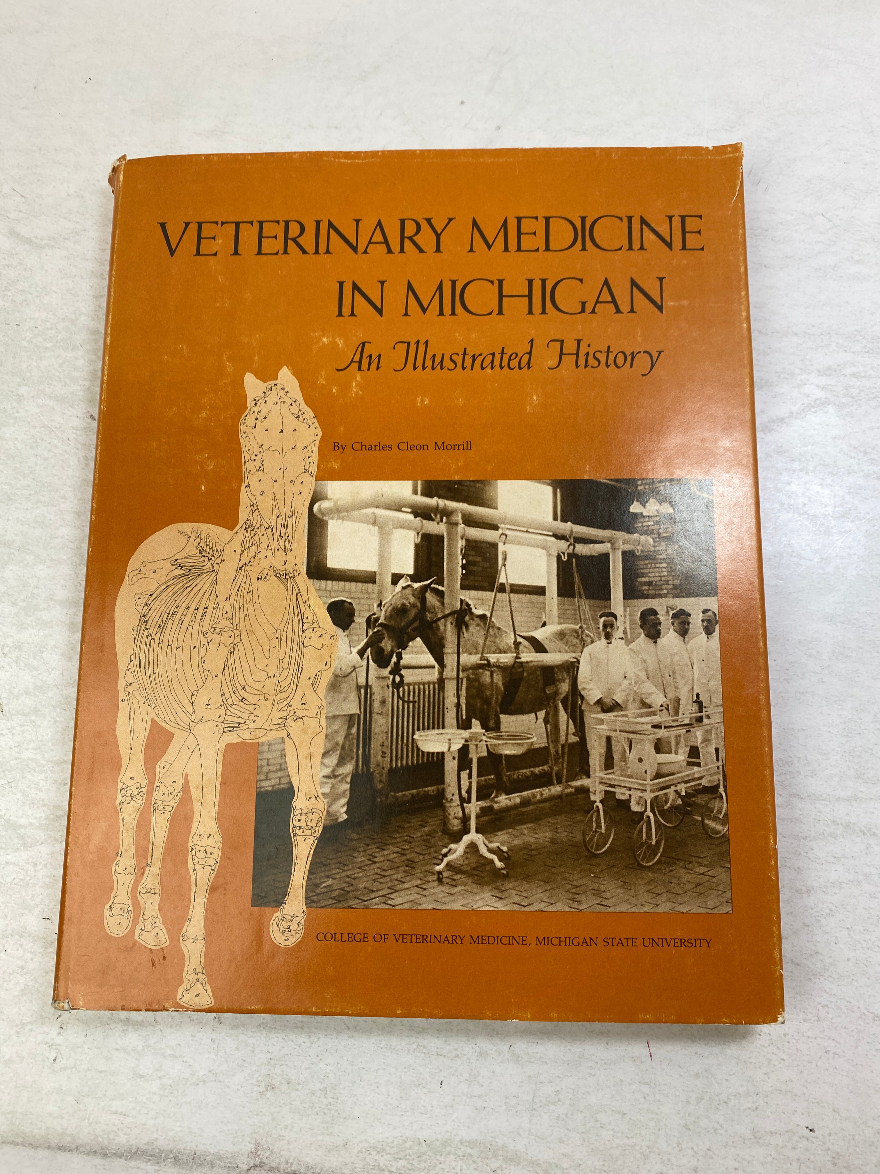 Veterinary Medicine in Michigan Charles Morrill HCDJ 1979