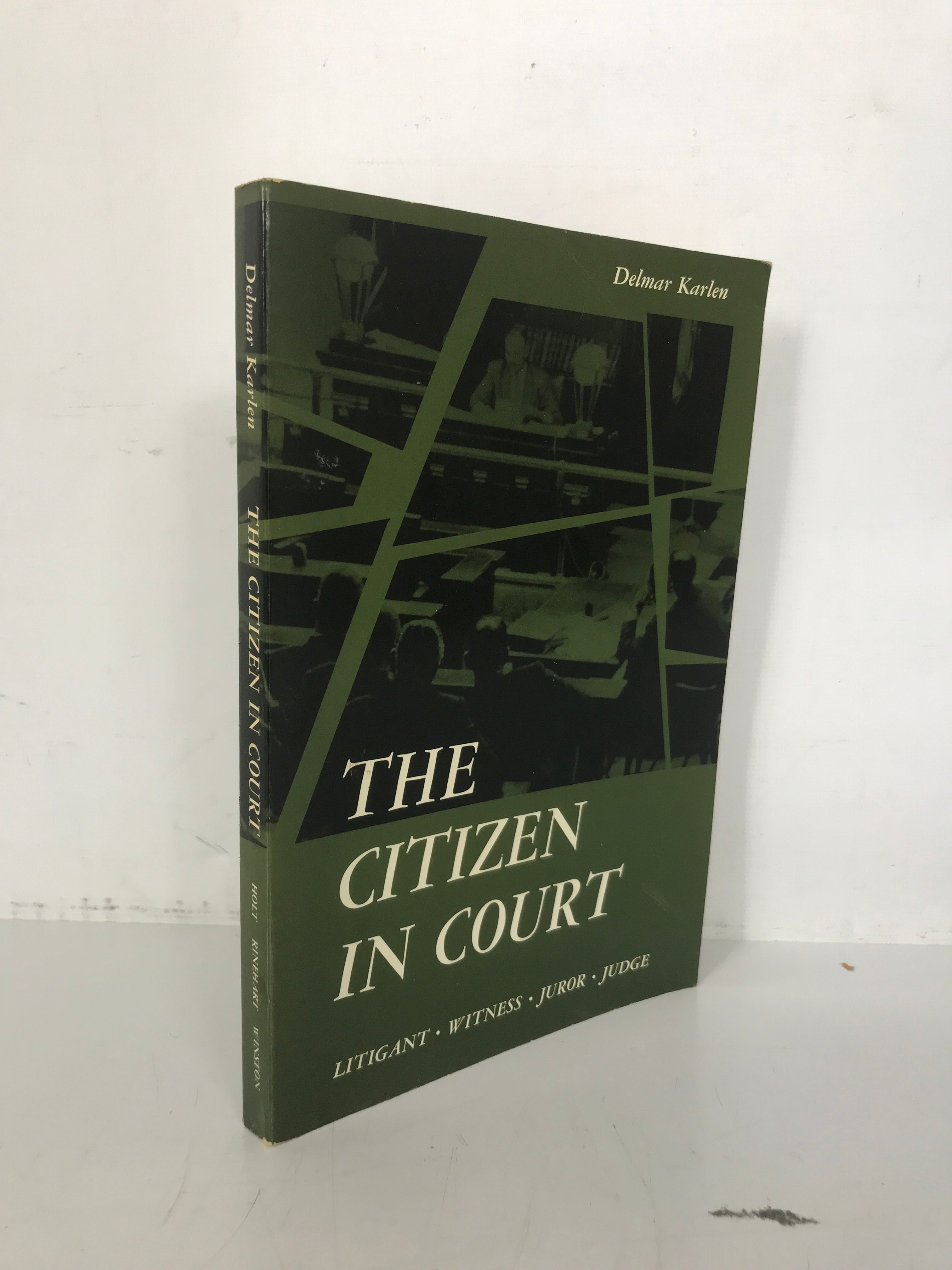 The Citizen in Court Delmar Karlen 1964 SC Litigant Witness Juror Judge