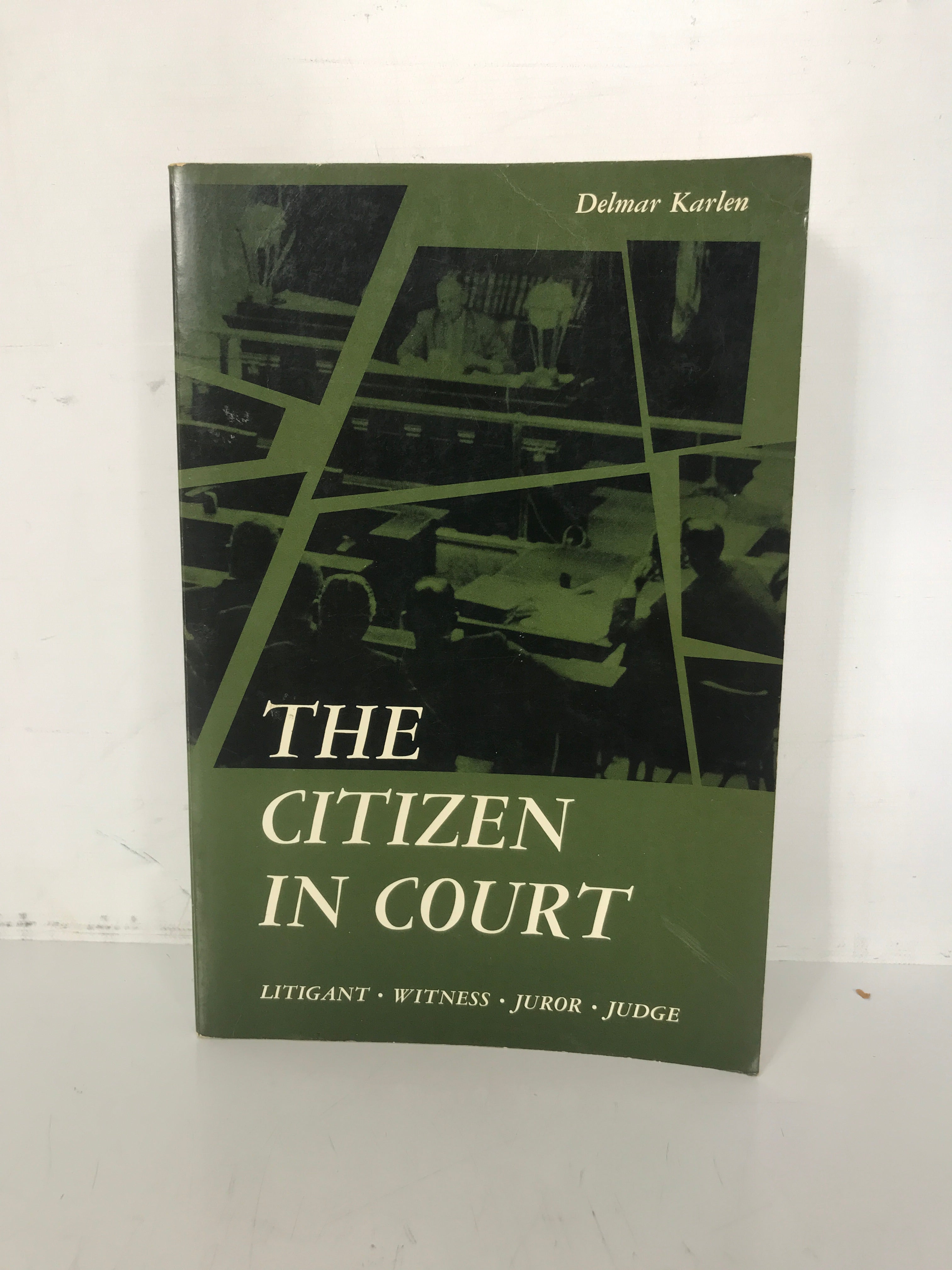 The Citizen in Court Delmar Karlen 1964 SC Litigant Witness Juror Judge