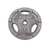 Troy 45 Pound Plate *Like New*