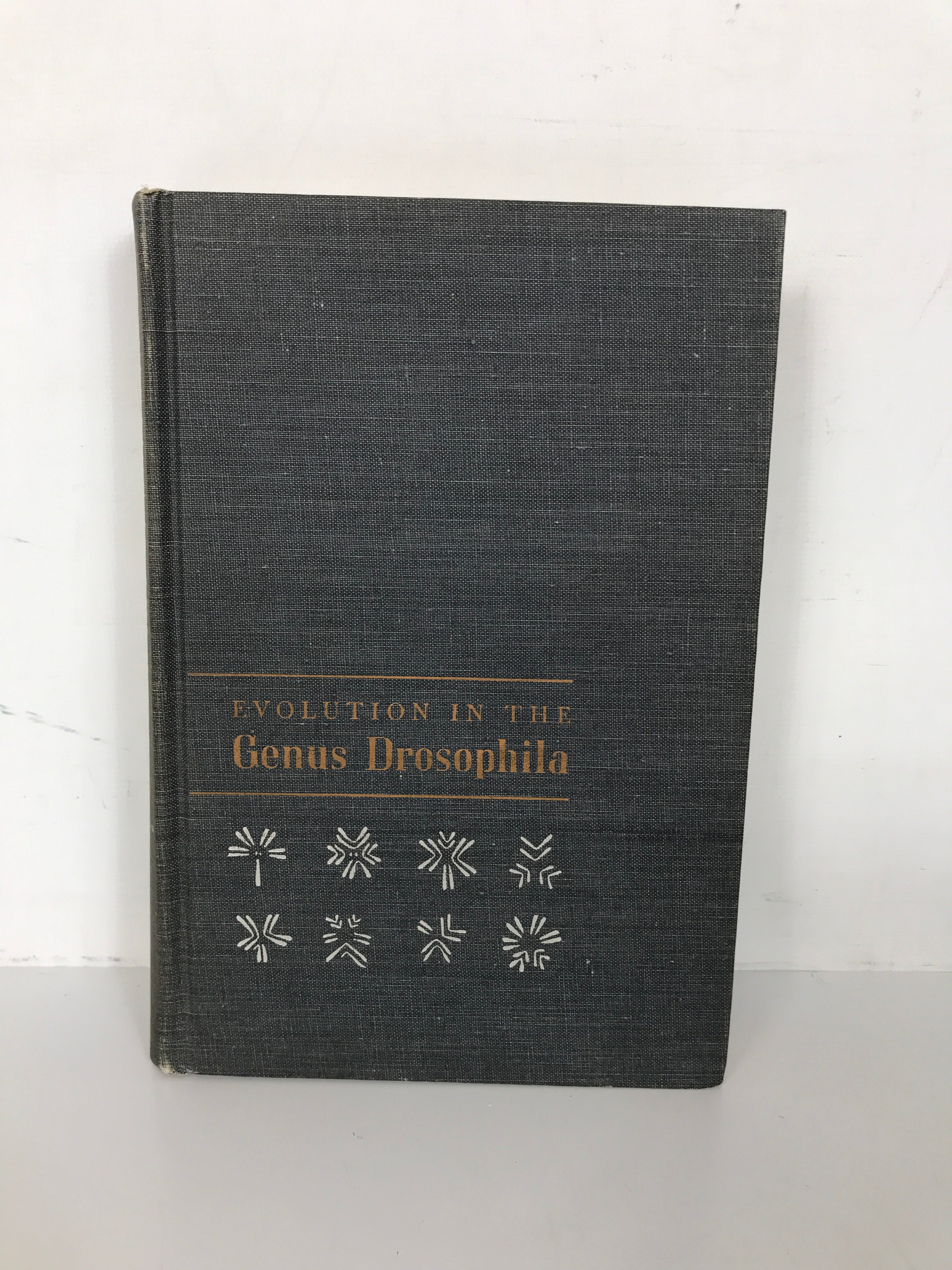 Evolution in the Genus Drosophila Patterson & Stone 1952 1st Ed 1st Print HC