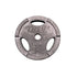 Troy 35 Pound Plate *Like New*