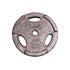 Troy 45 Pound Plate *Fair Condition*