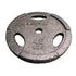 Troy 45 Pound Plate *Fair Condition*