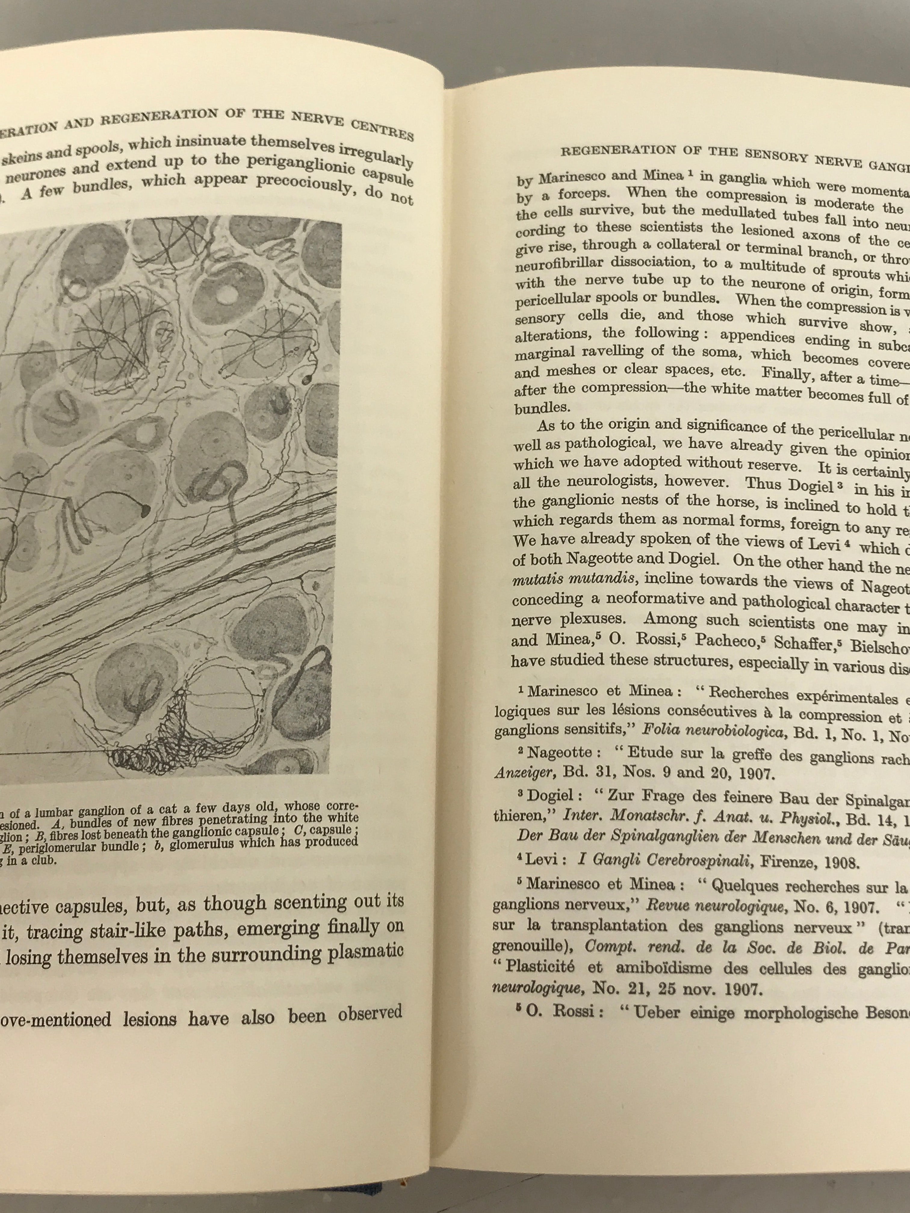 2 Volume Set of Degeneration & Regeneration of the Nervous System by S. Ramon Y Cahal 1959 HC