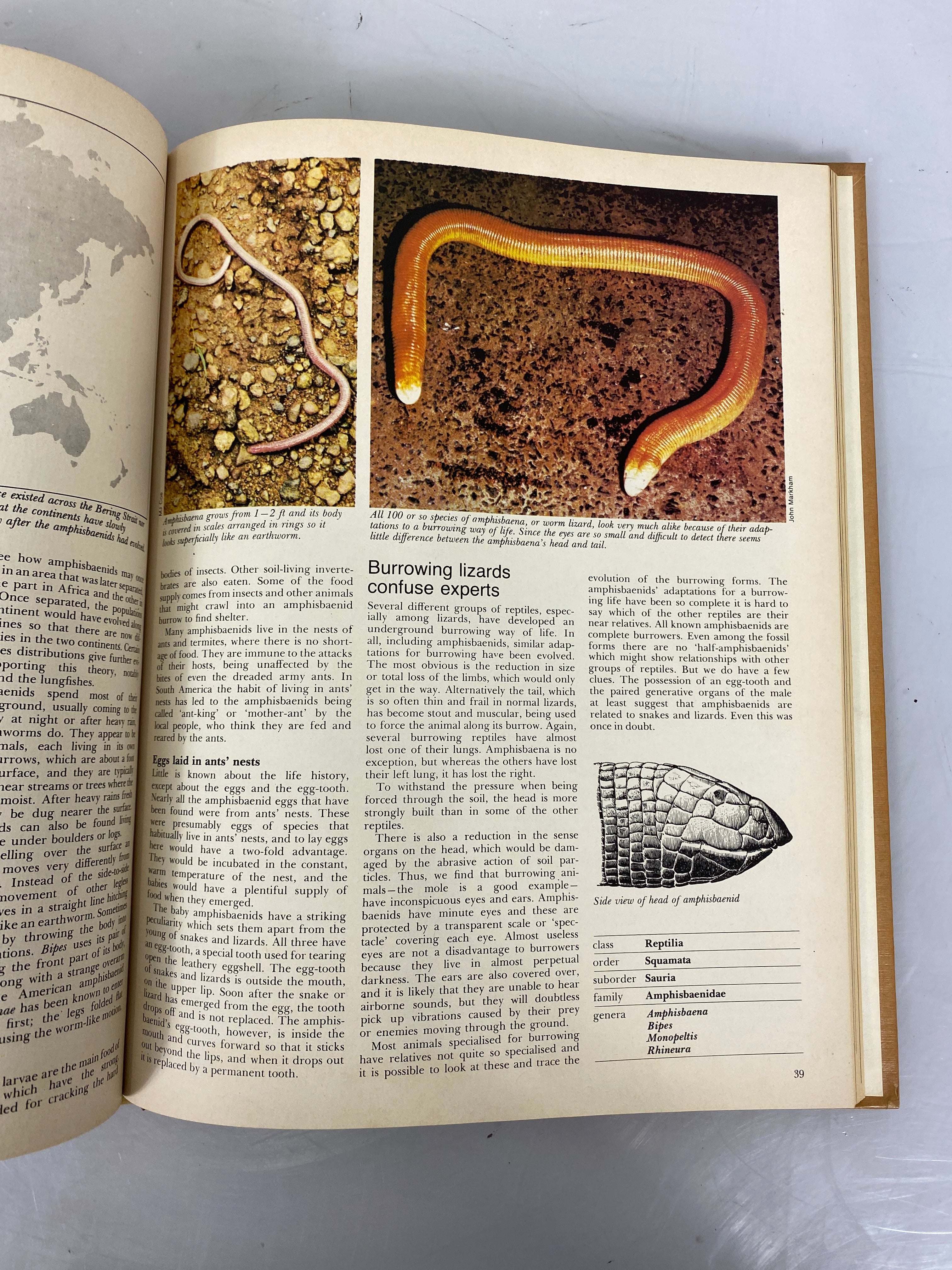 Set of 11: Funk & Wagnalls Wildlife Encyclopedia Vol. 1-11 1969-1970 HC