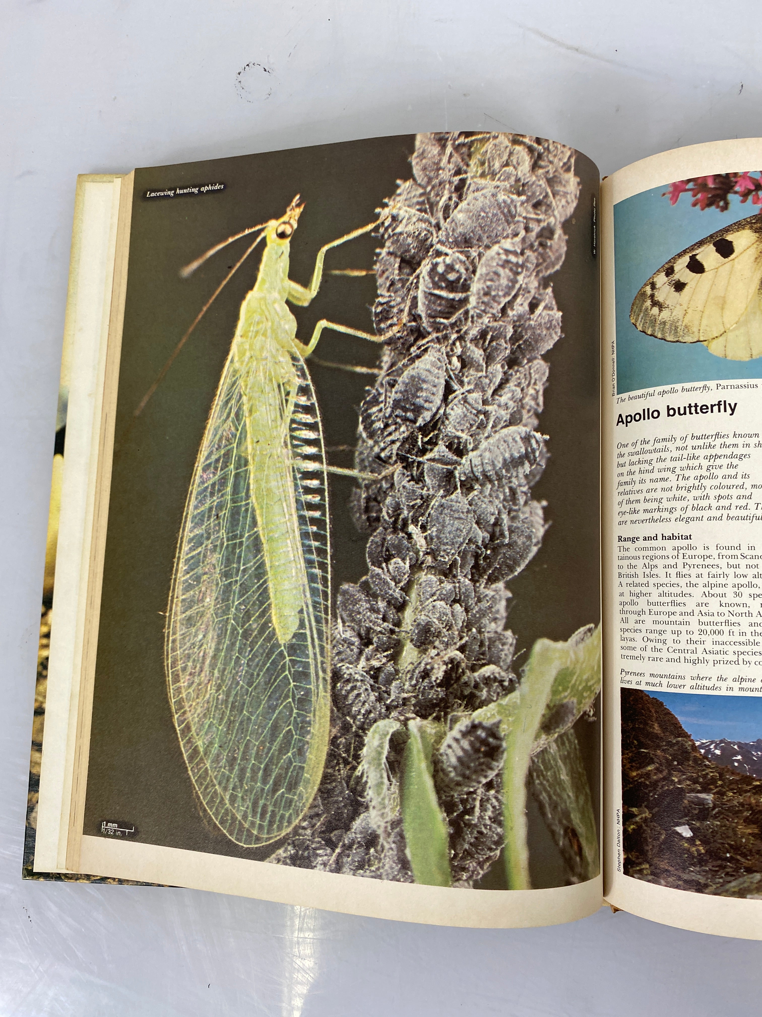 Set of 11: Funk & Wagnalls Wildlife Encyclopedia Vol. 1-11 1969-1970 HC