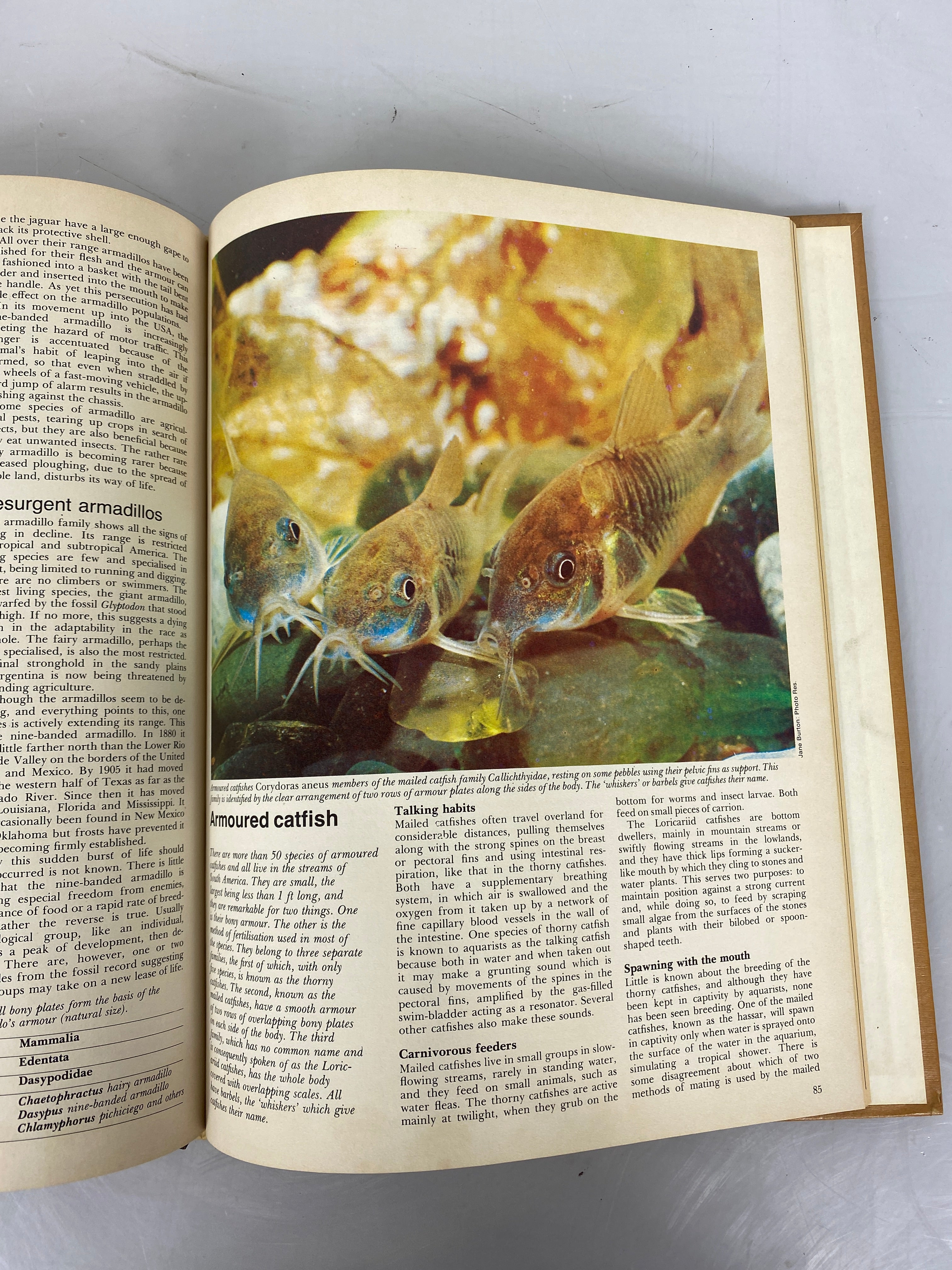 Set of 11: Funk & Wagnalls Wildlife Encyclopedia Vol. 1-11 1969-1970 HC