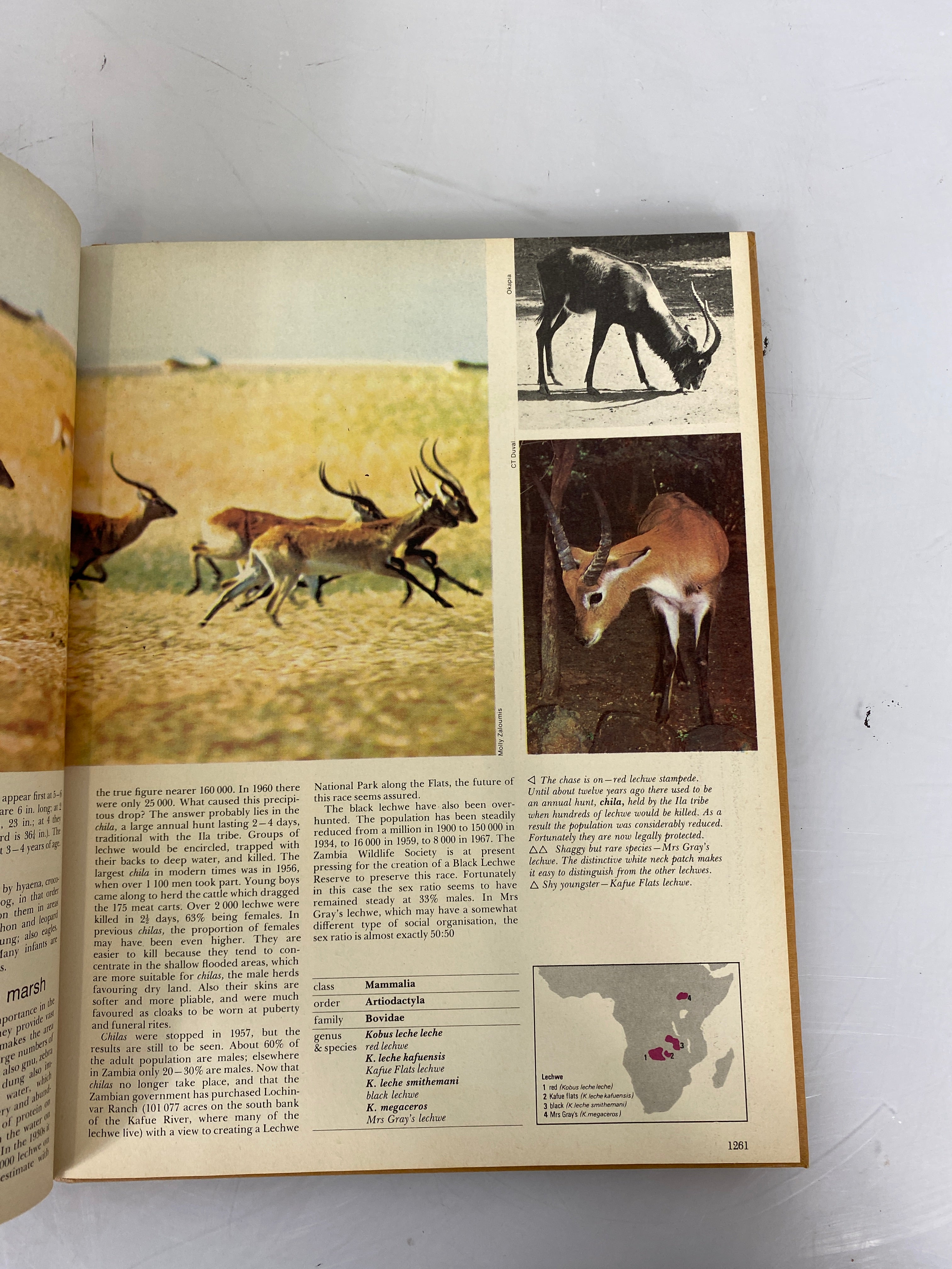 Set of 11: Funk & Wagnalls Wildlife Encyclopedia Vol. 1-11 1969-1970 HC