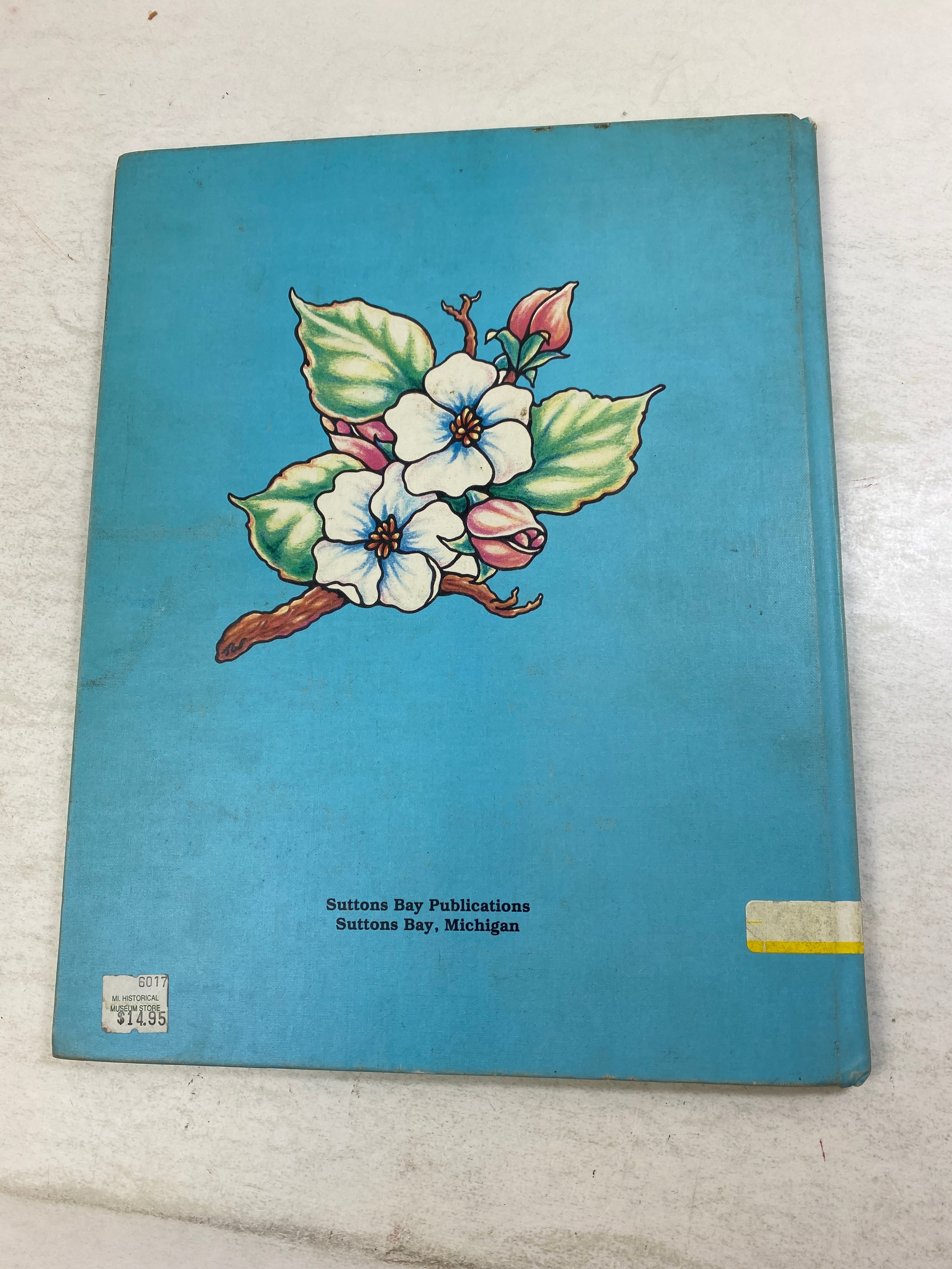 Michigan Illustrated History for Children Ex Lib HC 1987