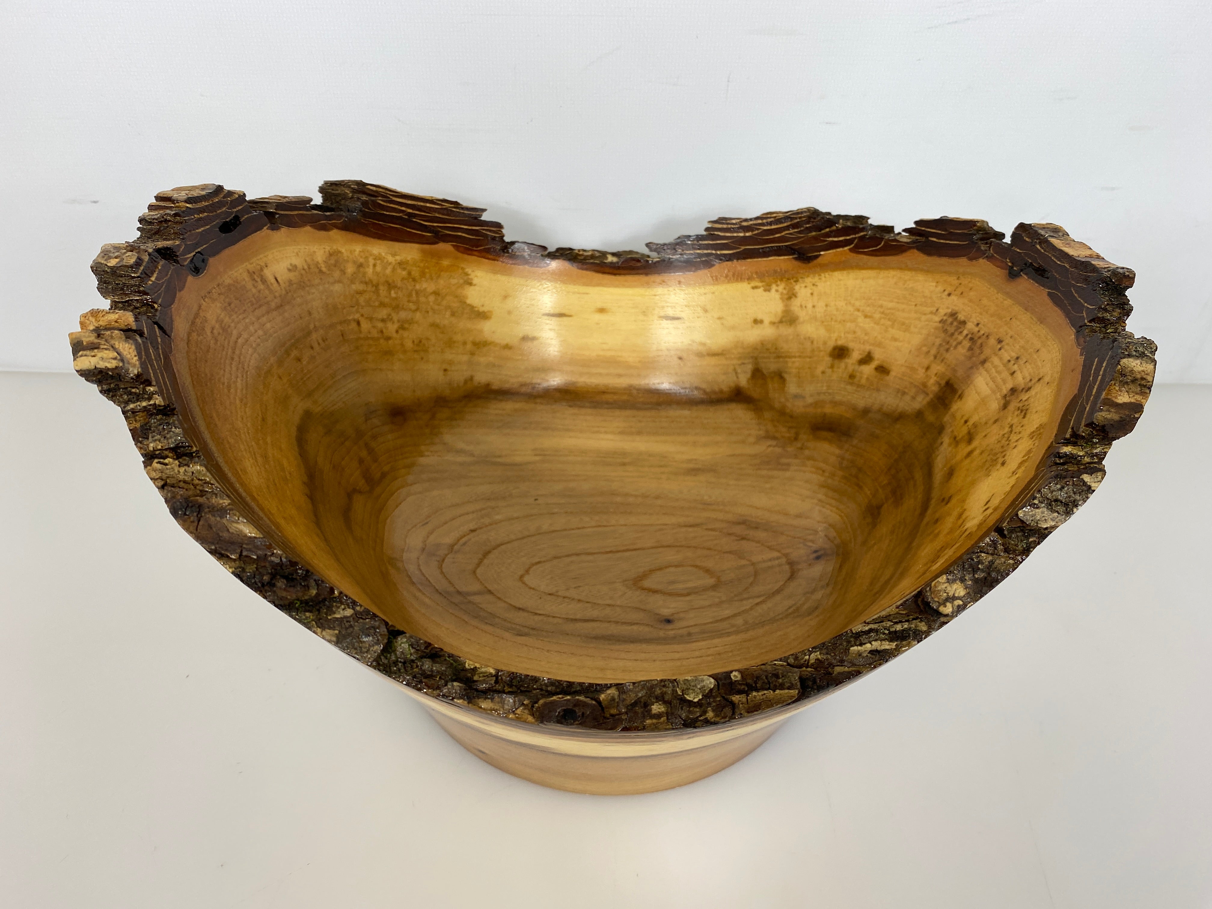MSU Shadows Elm Bowl #035