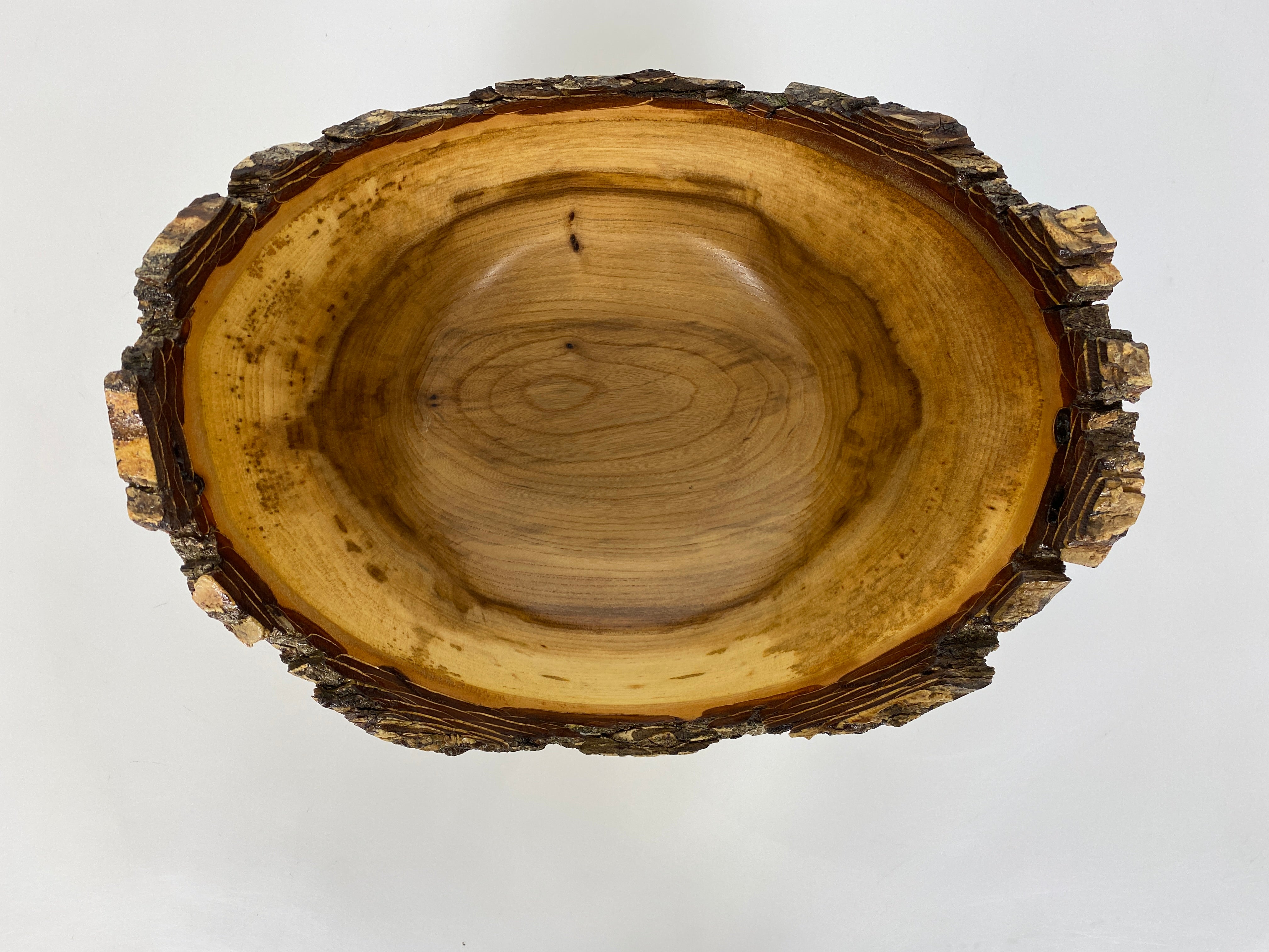 MSU Shadows Elm Bowl #035