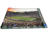 Fathead Michigan State Spartan Rose Bowl Game in 2014