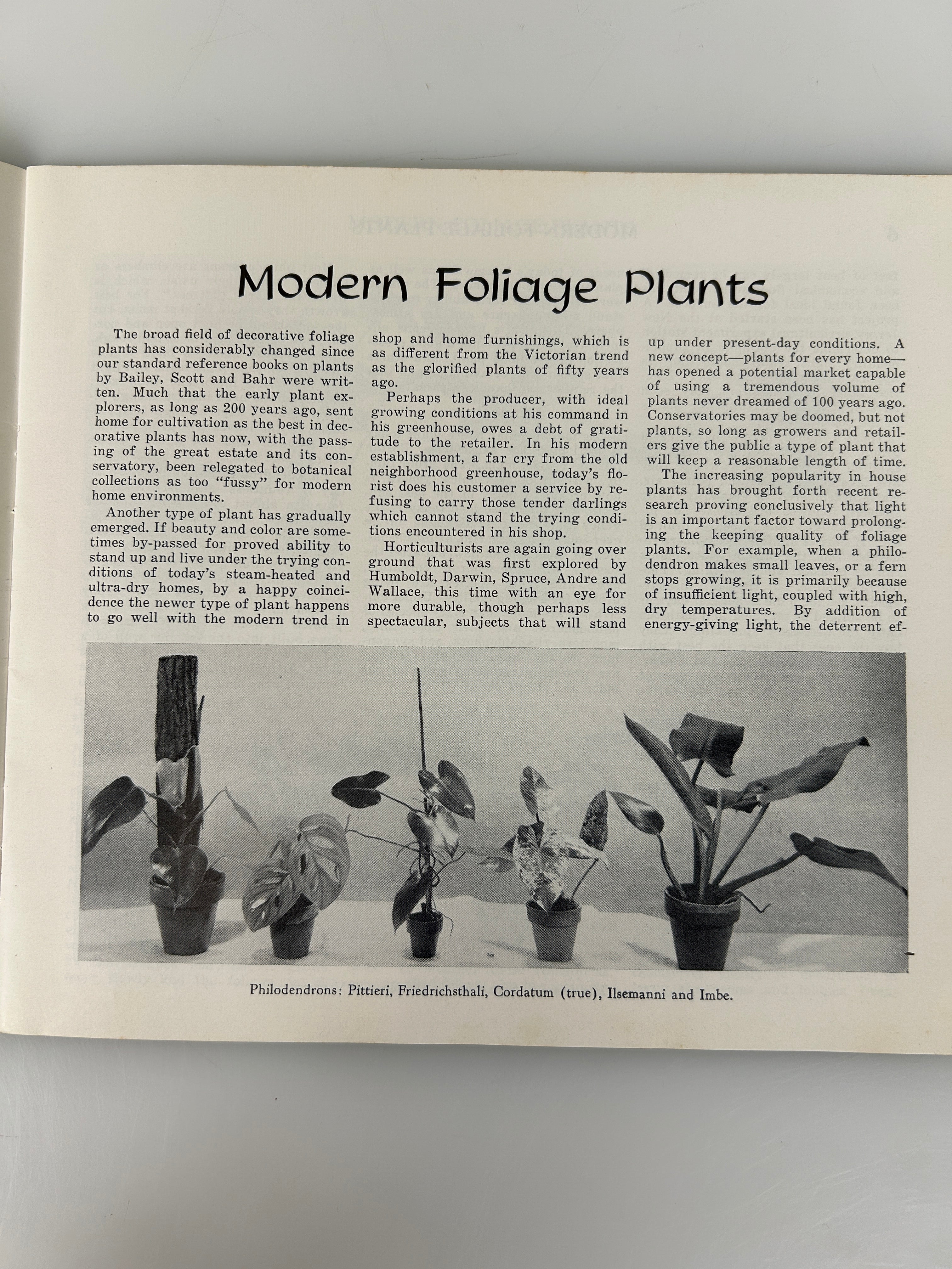 Lot of 3 vintage landscaping pamphlets/booklets 1950-1960's