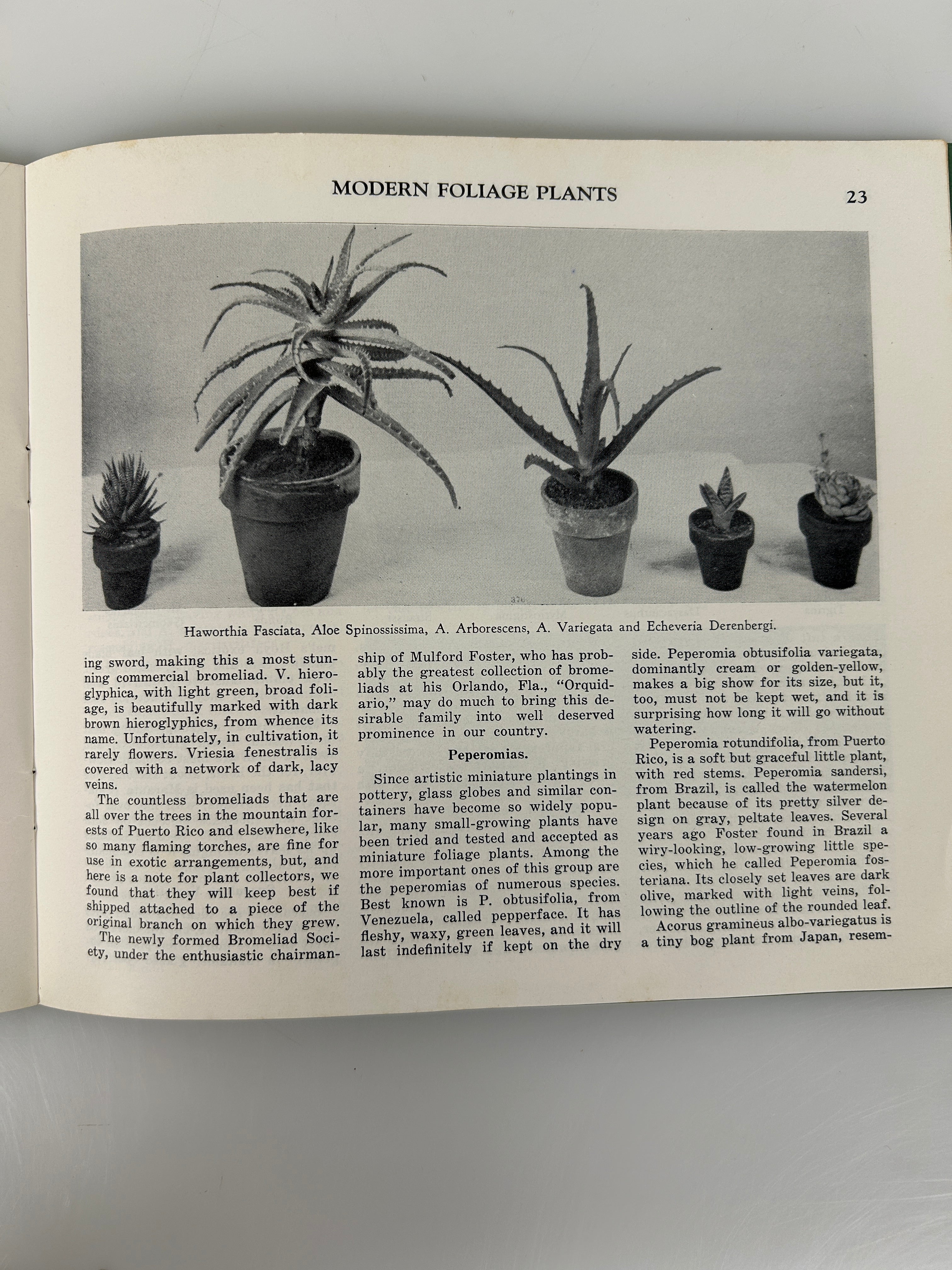 Lot of 3 vintage landscaping pamphlets/booklets 1950-1960's