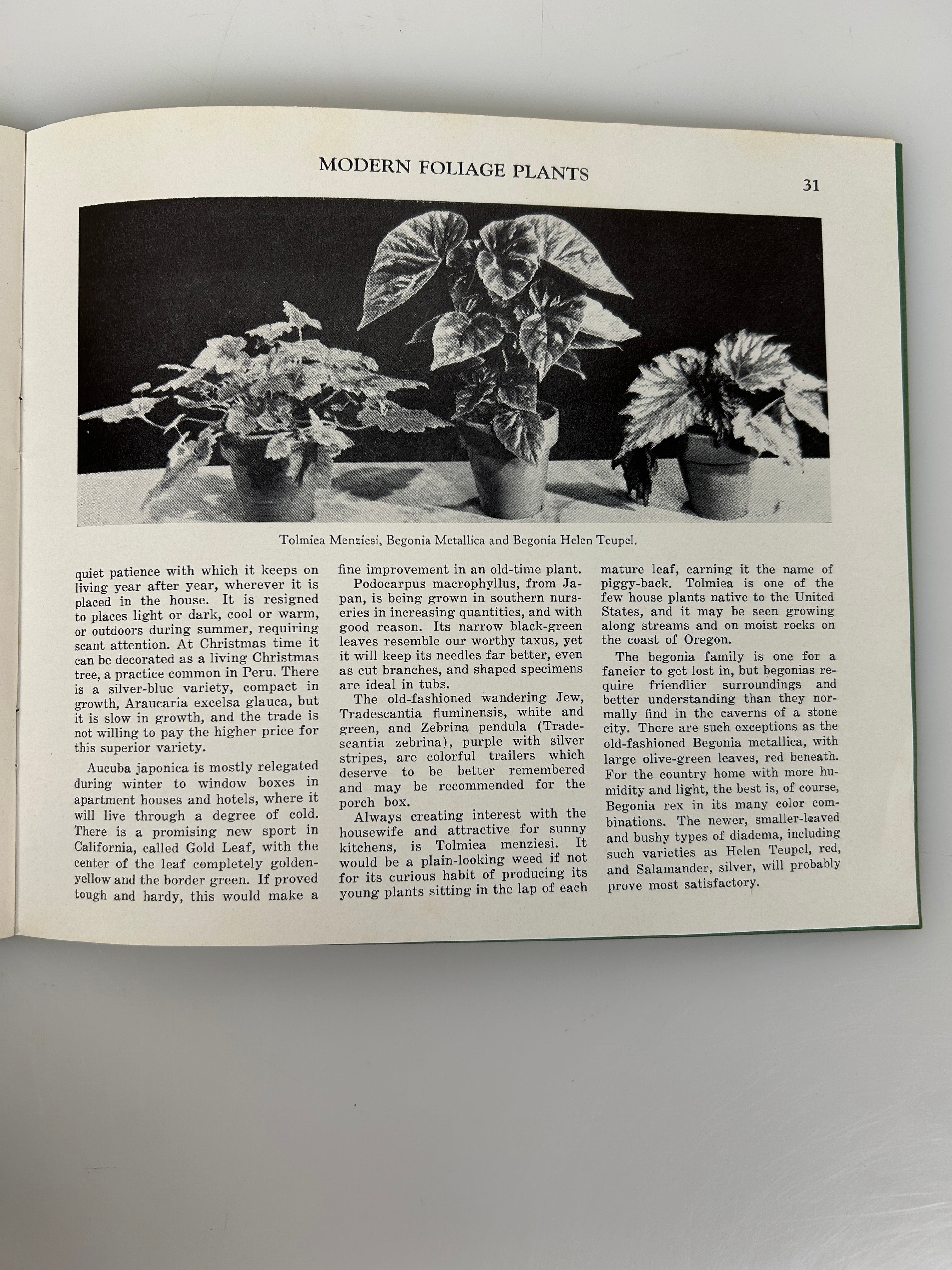 Lot of 3 vintage landscaping pamphlets/booklets 1950-1960's