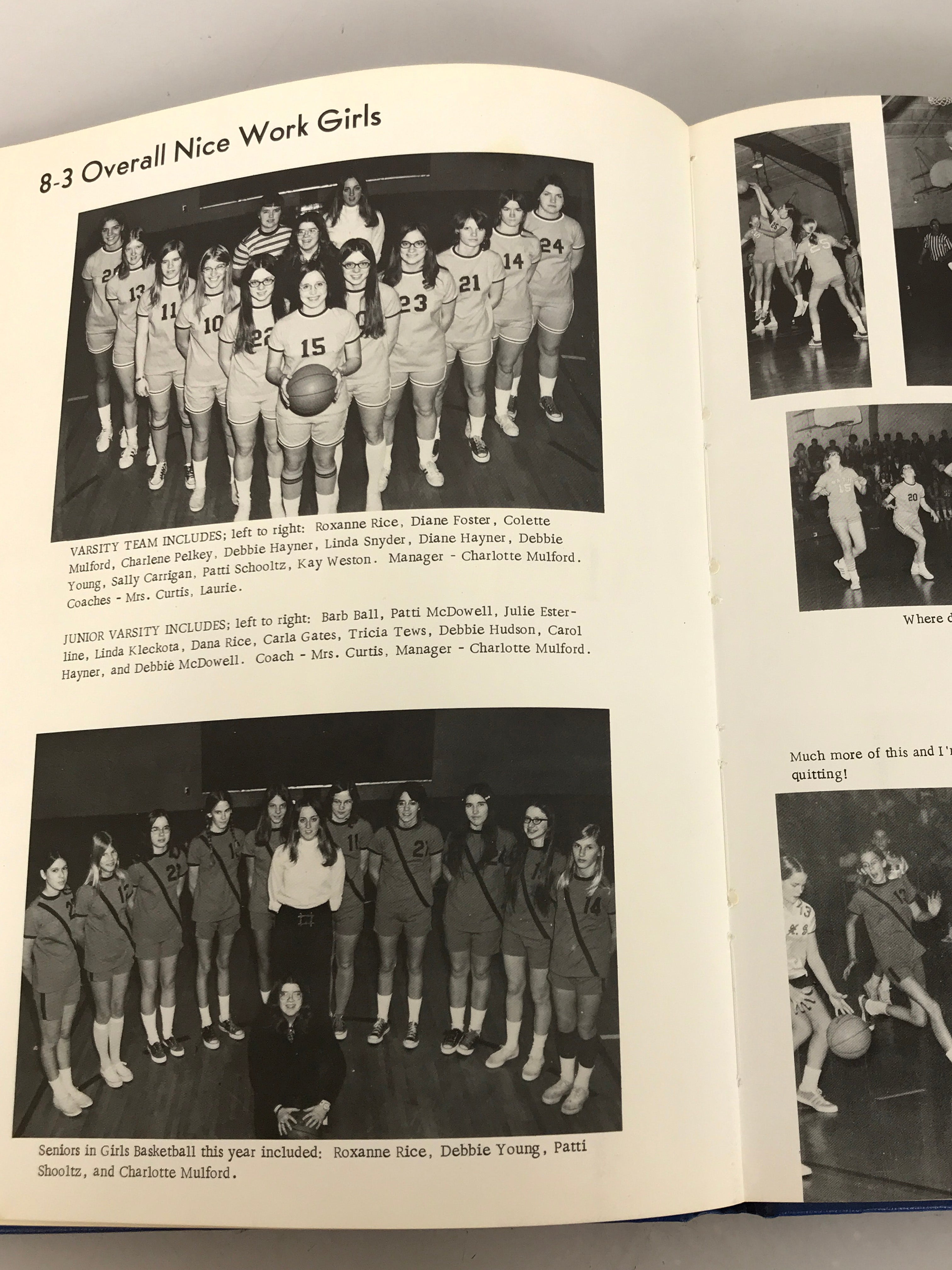 1973 DeWitt High School Yearbook DeWitt Michigan