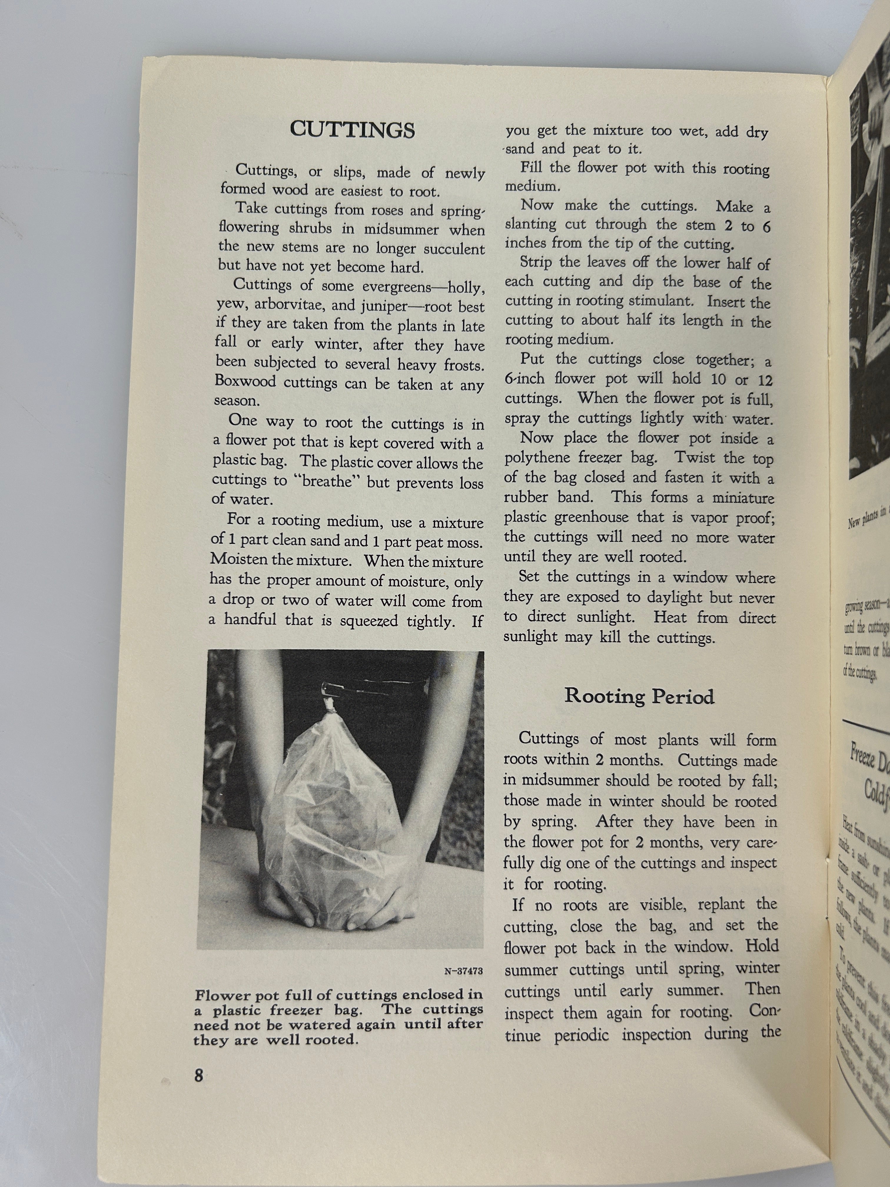 Lot of 3 vintage landscaping pamphlets/booklets 1950-1960's