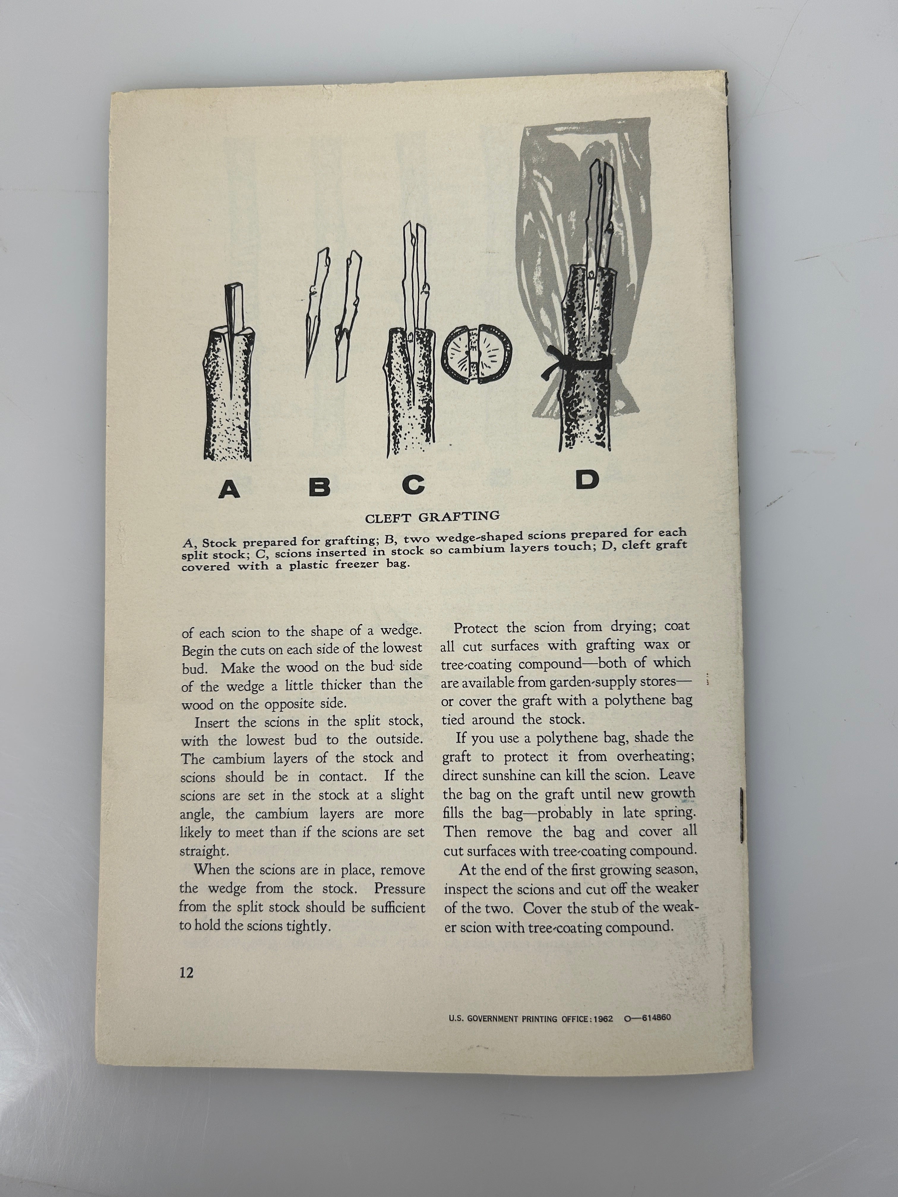 Lot of 3 vintage landscaping pamphlets/booklets 1950-1960's