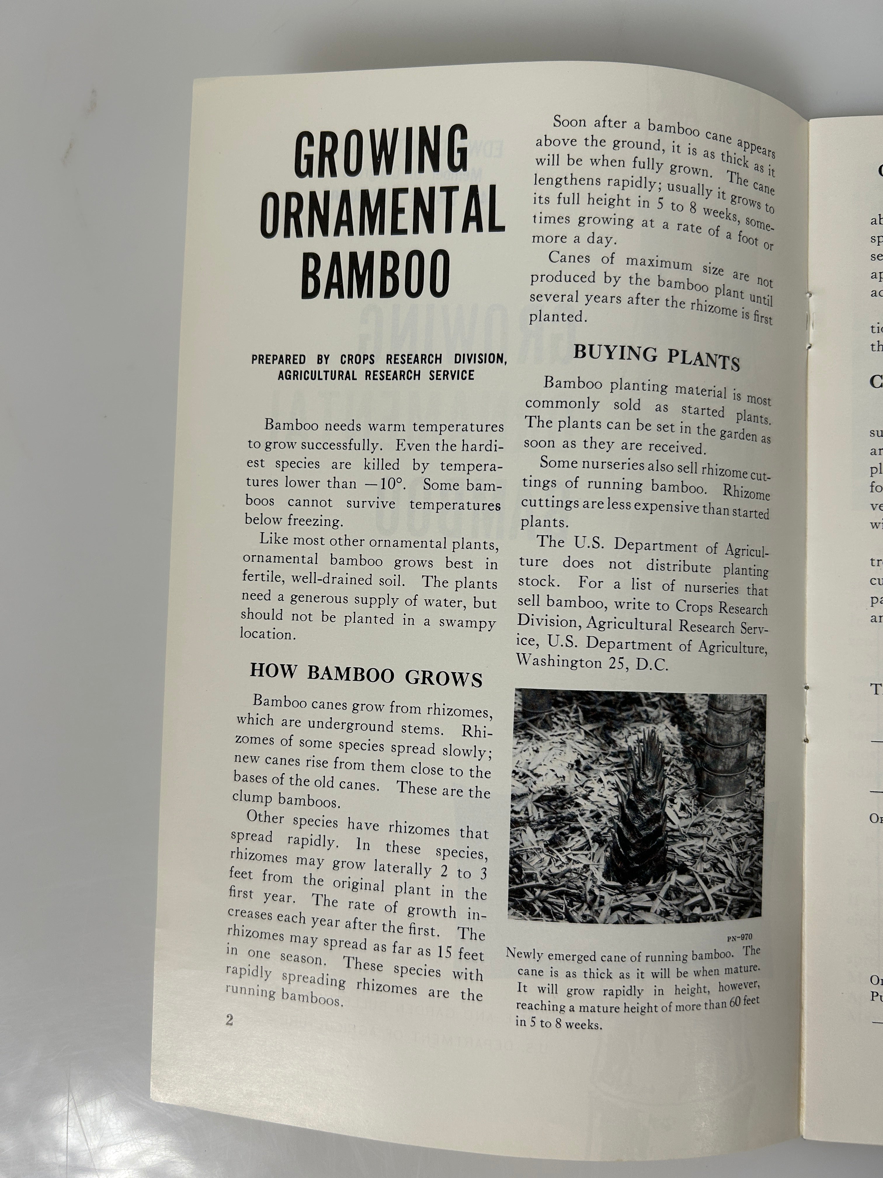 Lot of 3 vintage landscaping pamphlets/booklets 1950-1960's