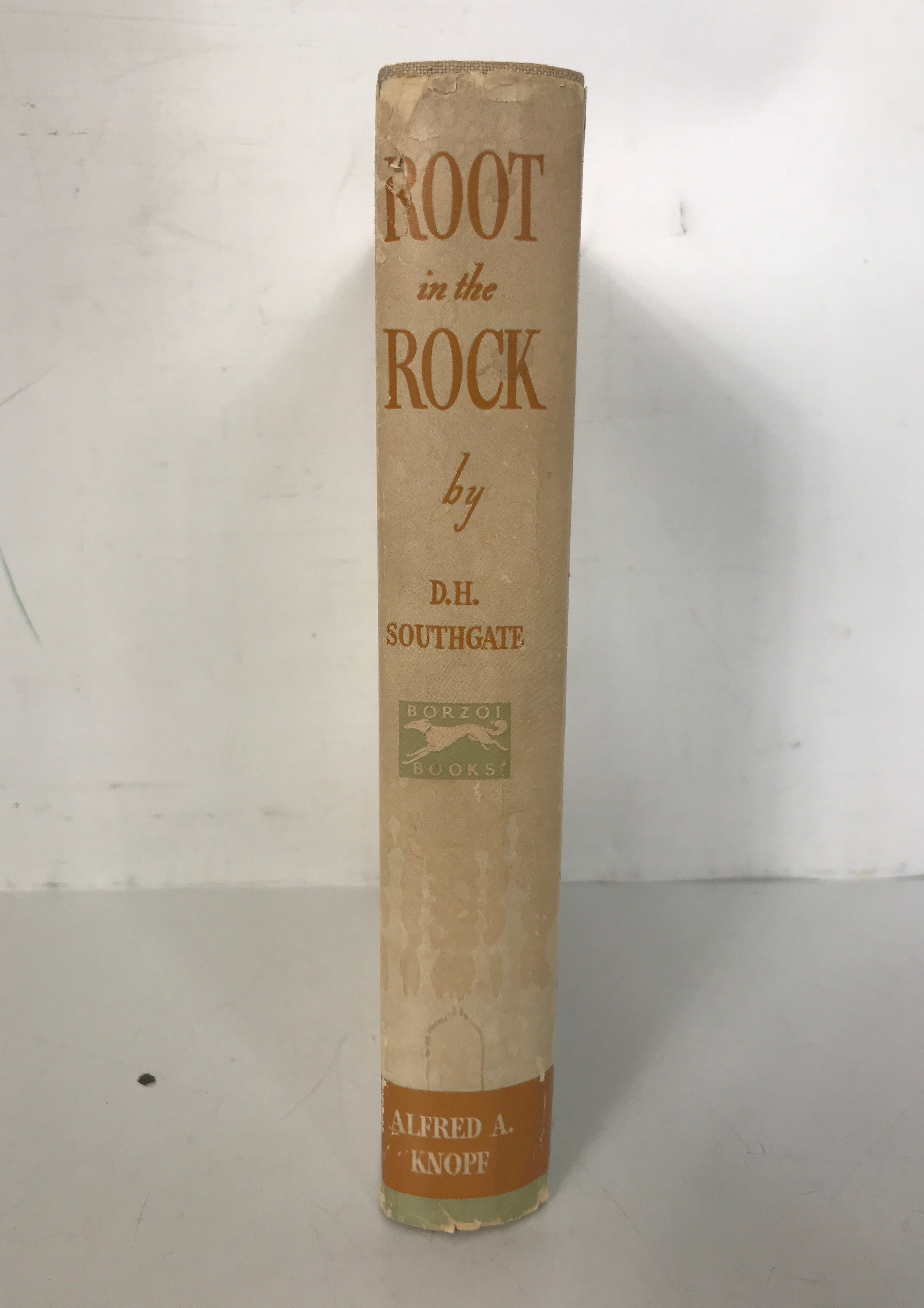 Root in the Rock An Indian Saga D.J. Southgate 1938 1st American Ed HC DJ