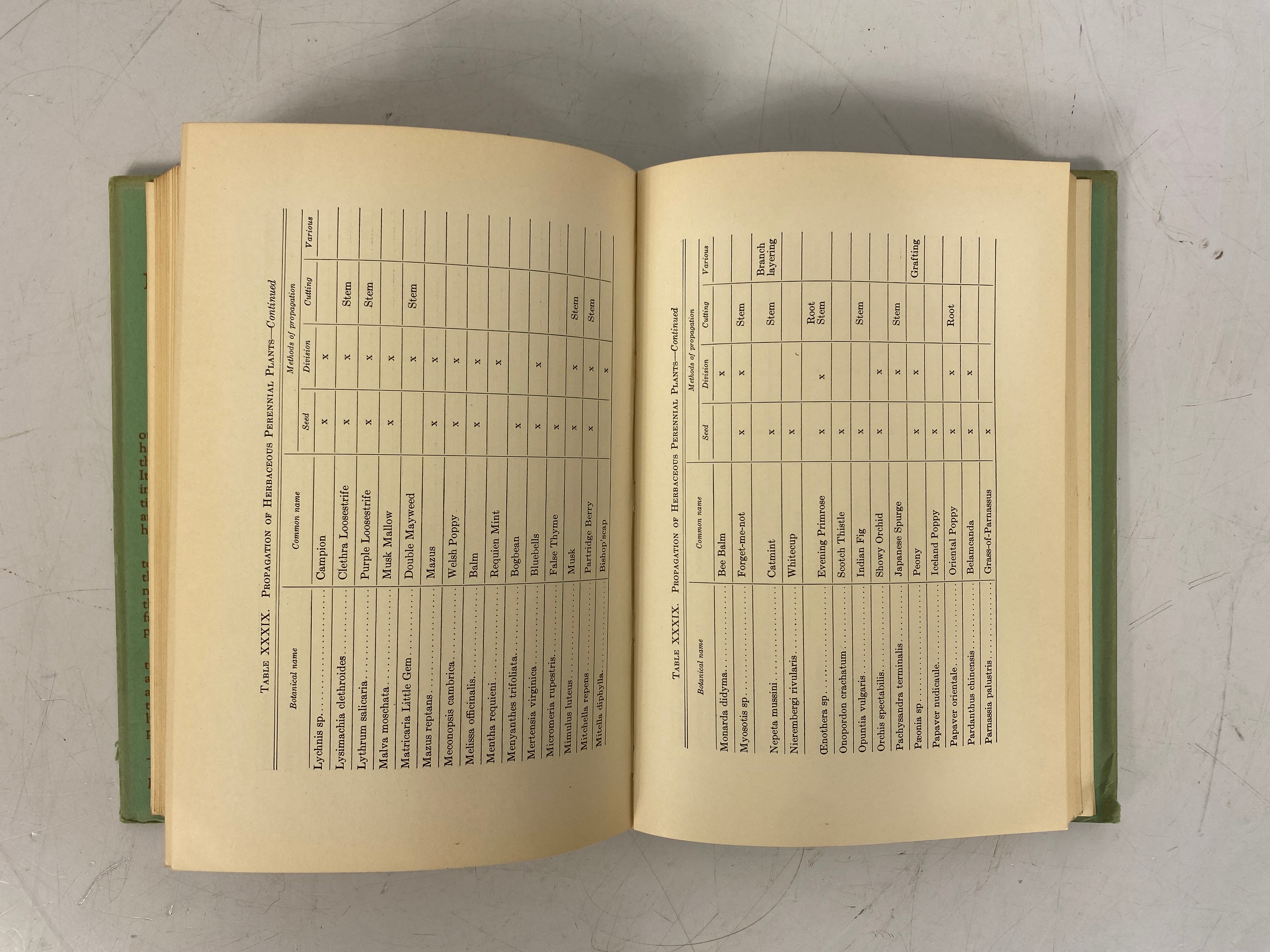 2 Vols: Gray's Handbook of Flowering Plants & Ferns 1908/The Modern Nursery 1938