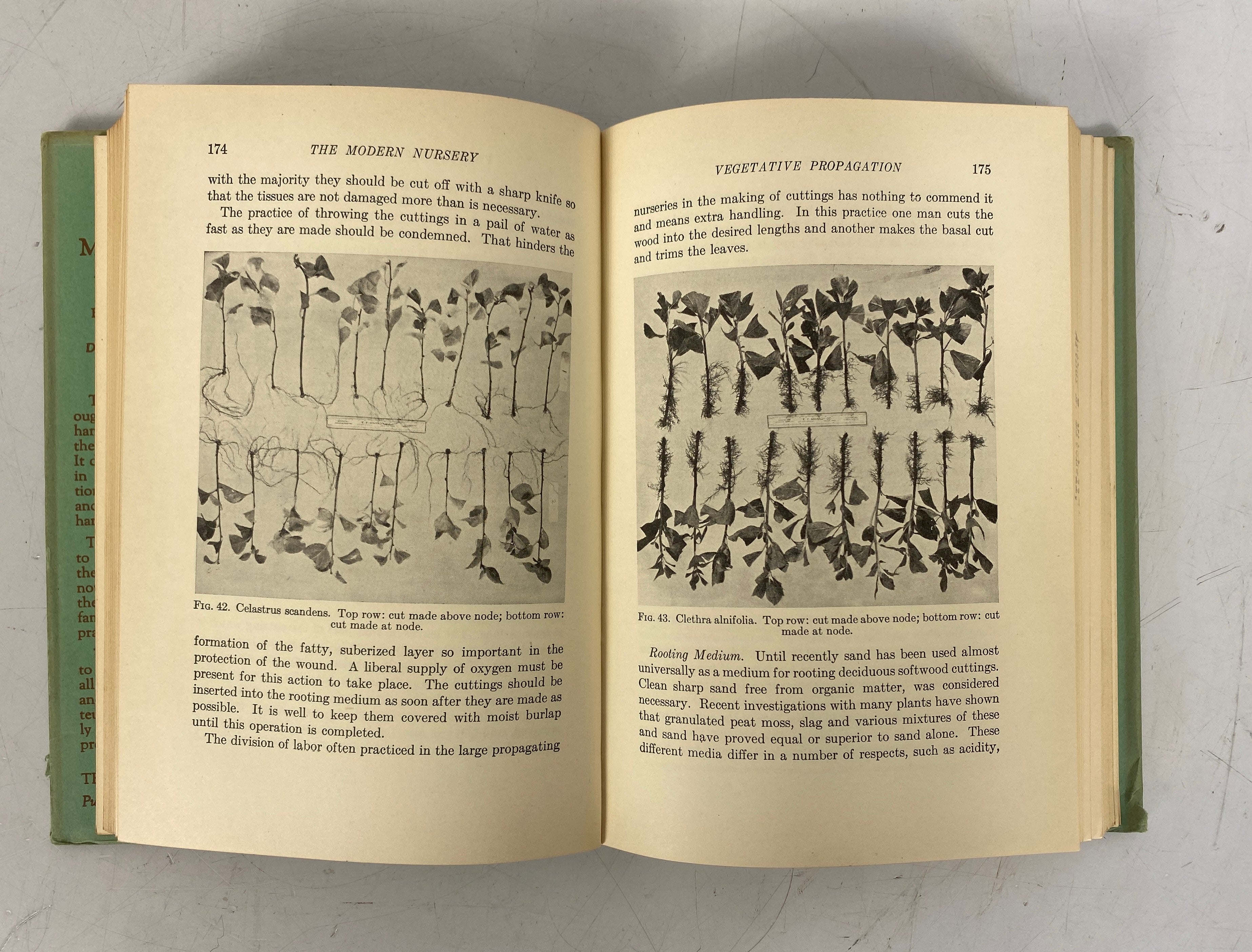 2 Vols: Gray's Handbook of Flowering Plants & Ferns 1908/The Modern Nursery 1938