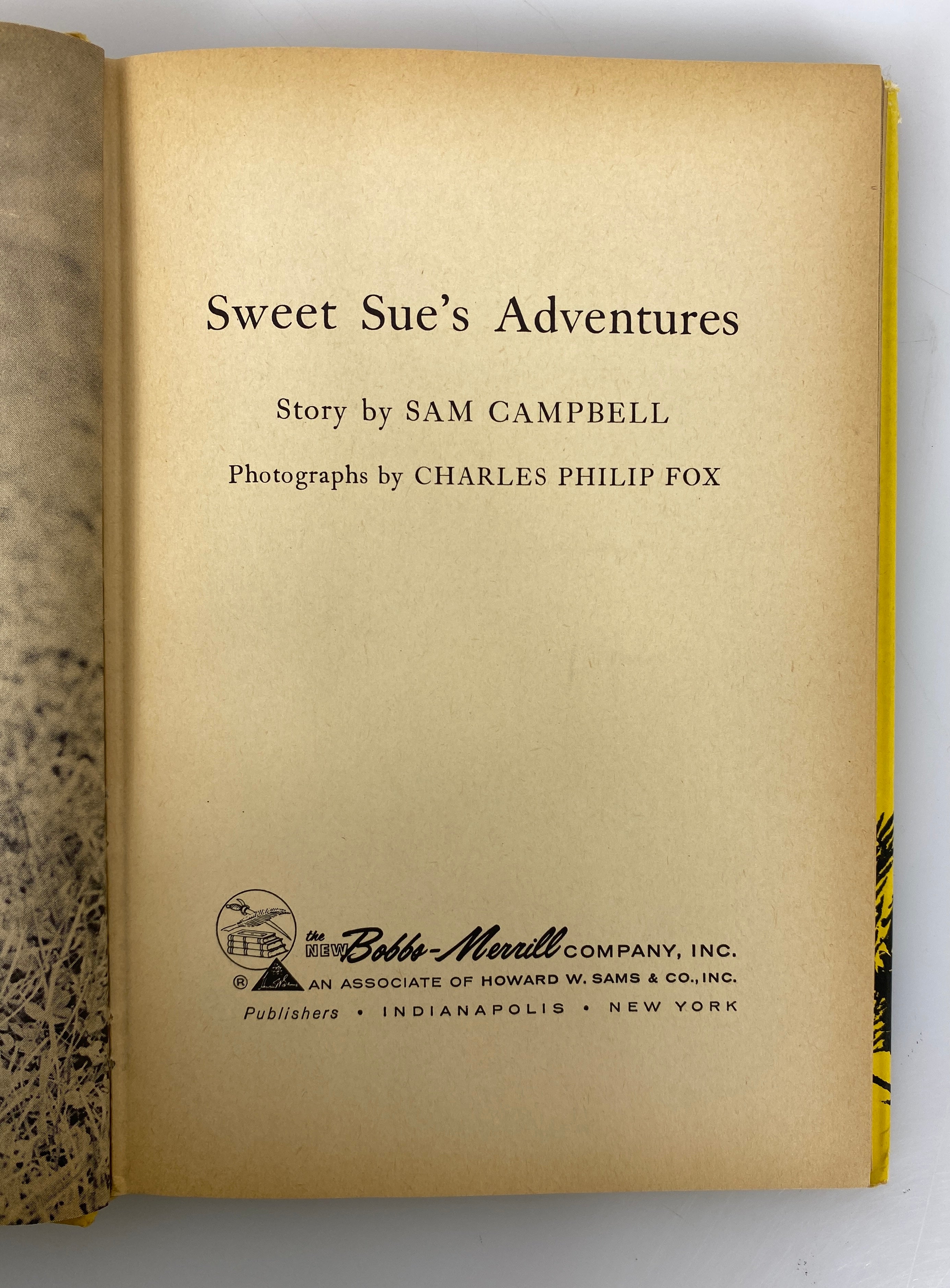 Sweet Sue's Adventures by Sam Campbell (A Skunk Family) 1959 1st Edition HC DJ