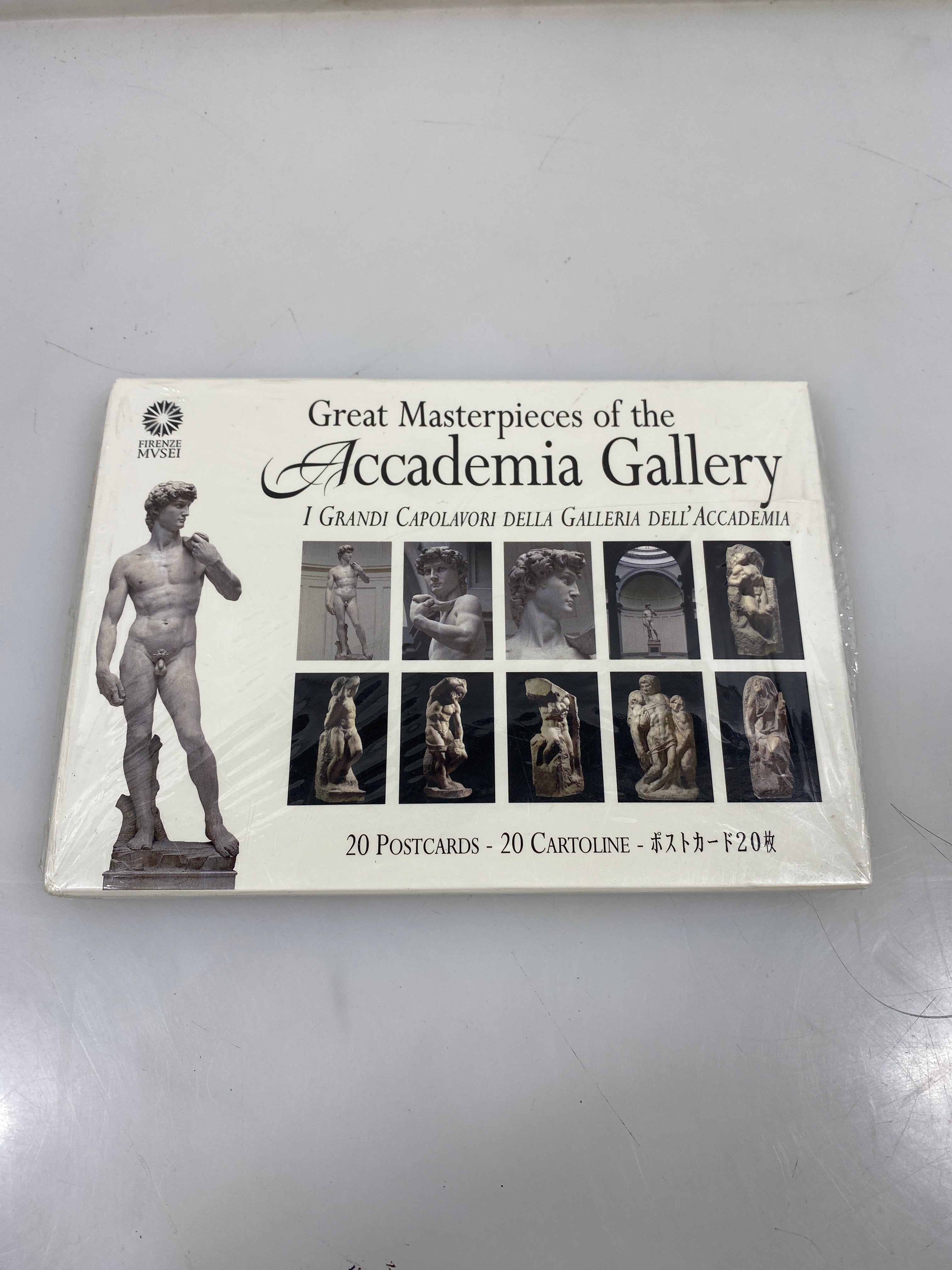 20 Academia Gallery Postcards *New*
