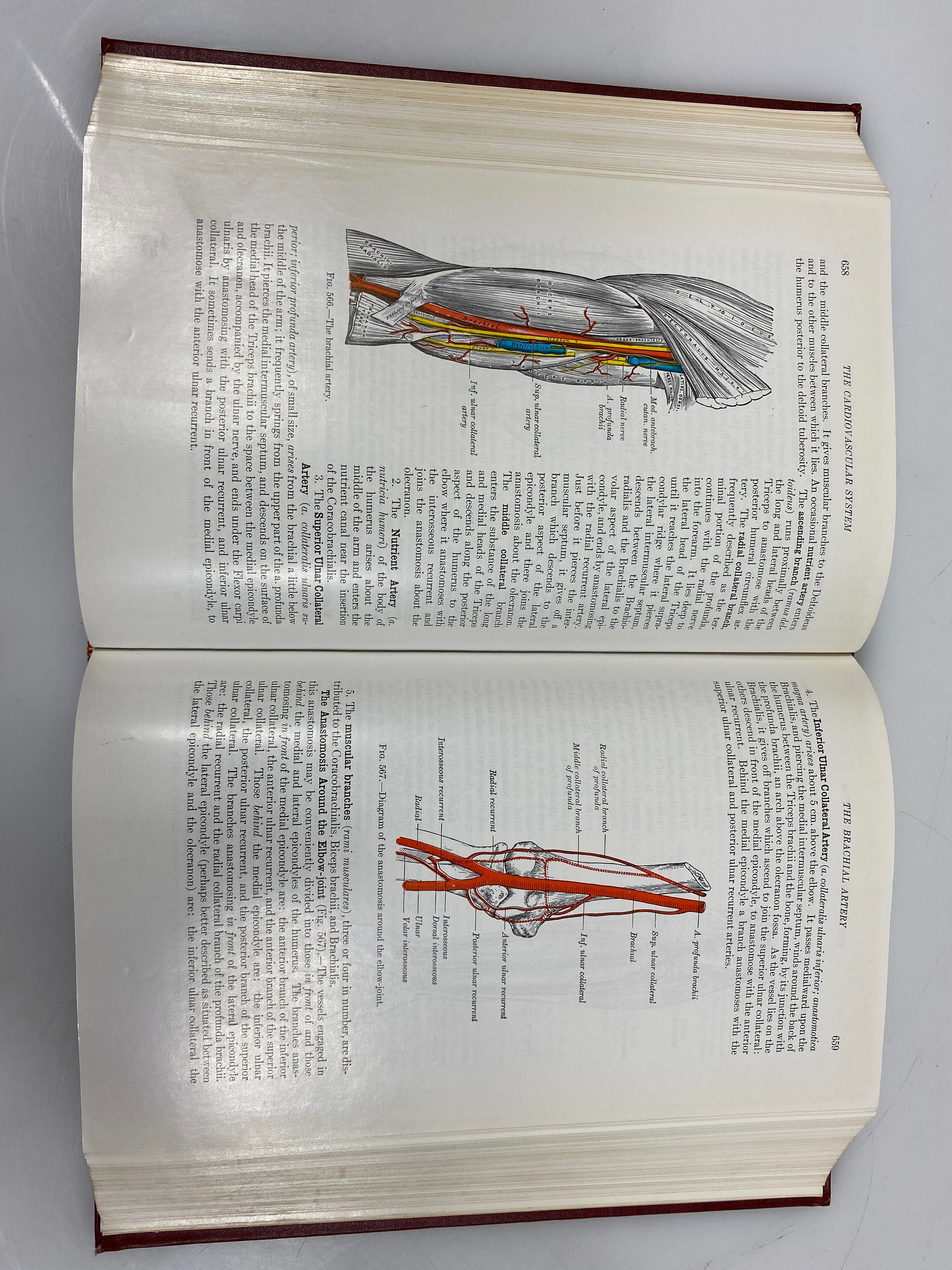 Anatomy of the Human Body by Gray Centennial Edition Lea & Febiger 1959 HC