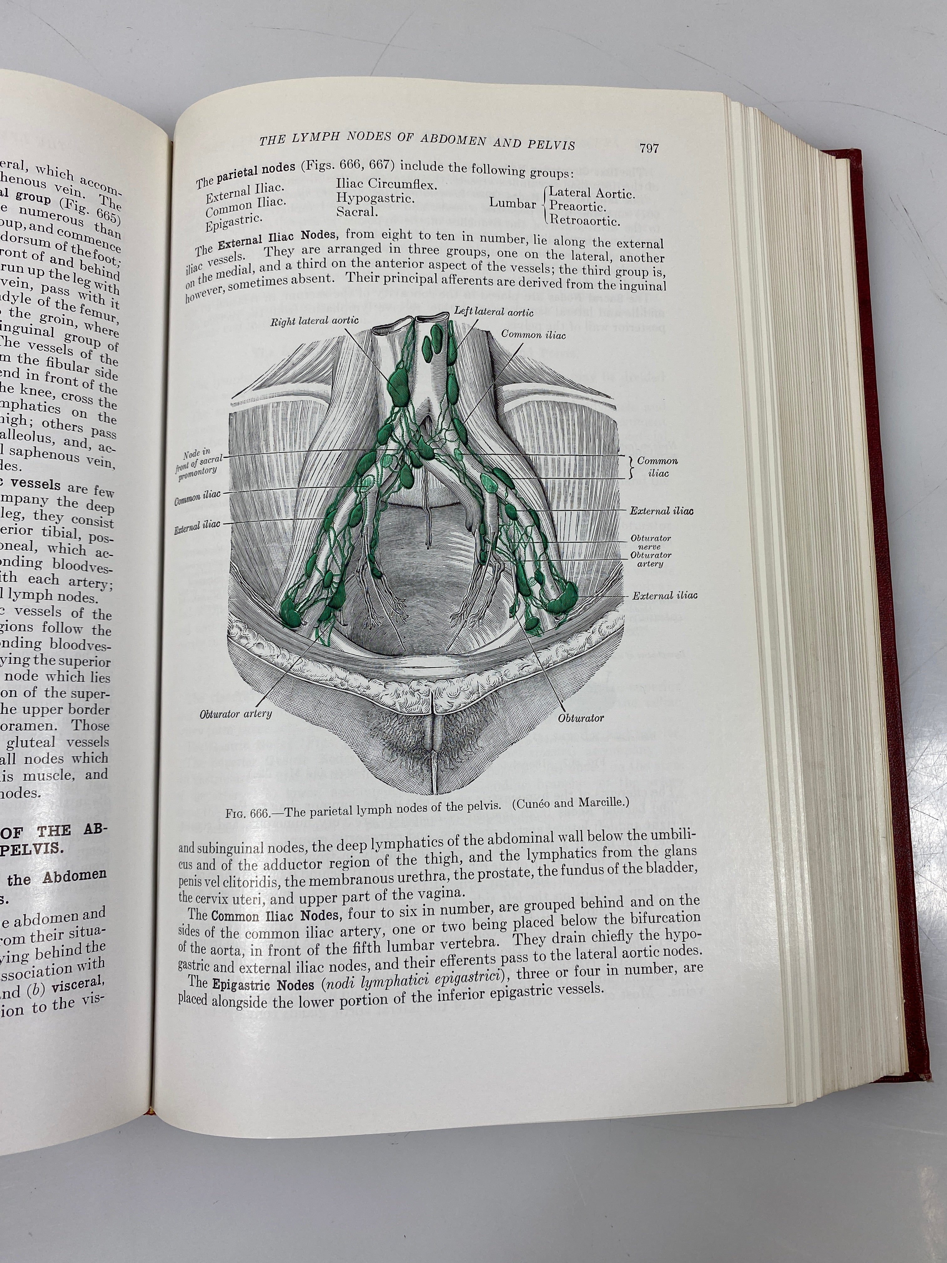 Anatomy of the Human Body by Gray Centennial Edition Lea & Febiger 1959 HC