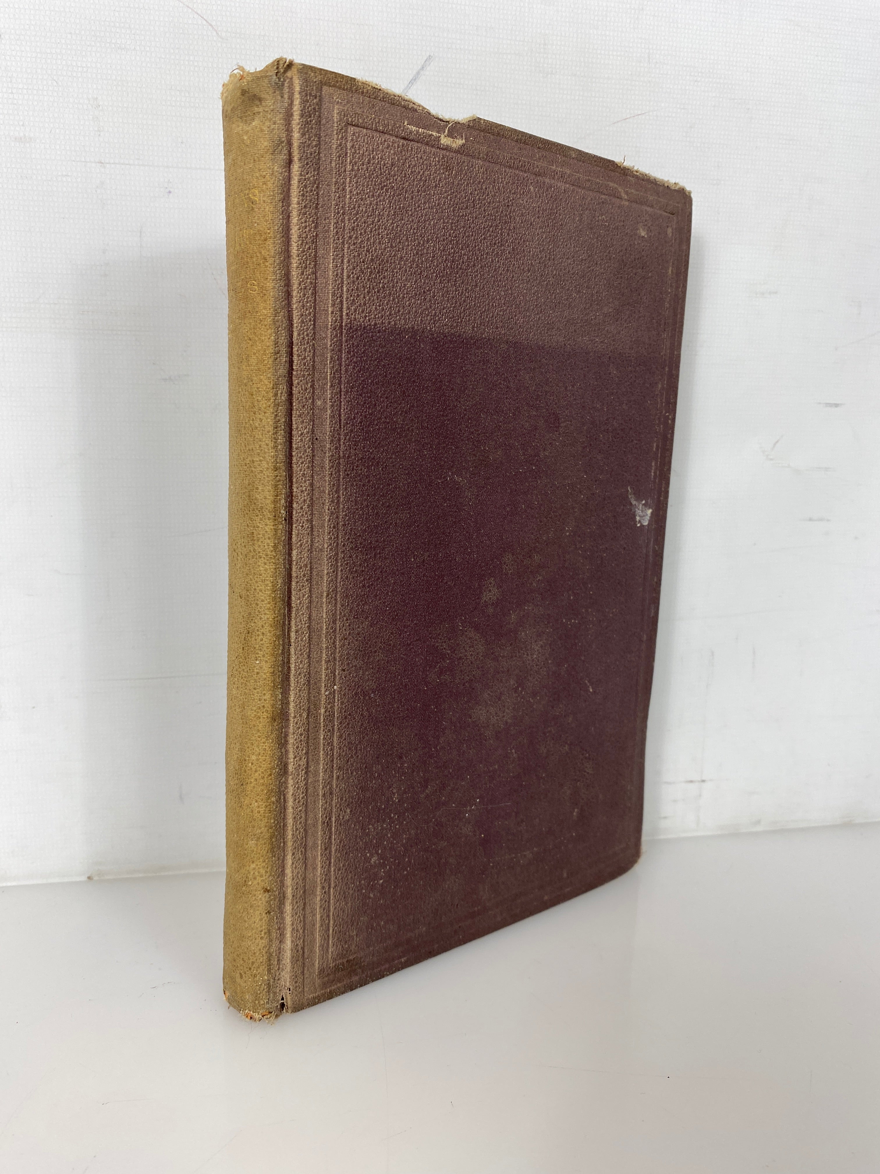 Eirene; or a Woman's Right by Mary Clemmer Ames 1871 Rare Antique HC