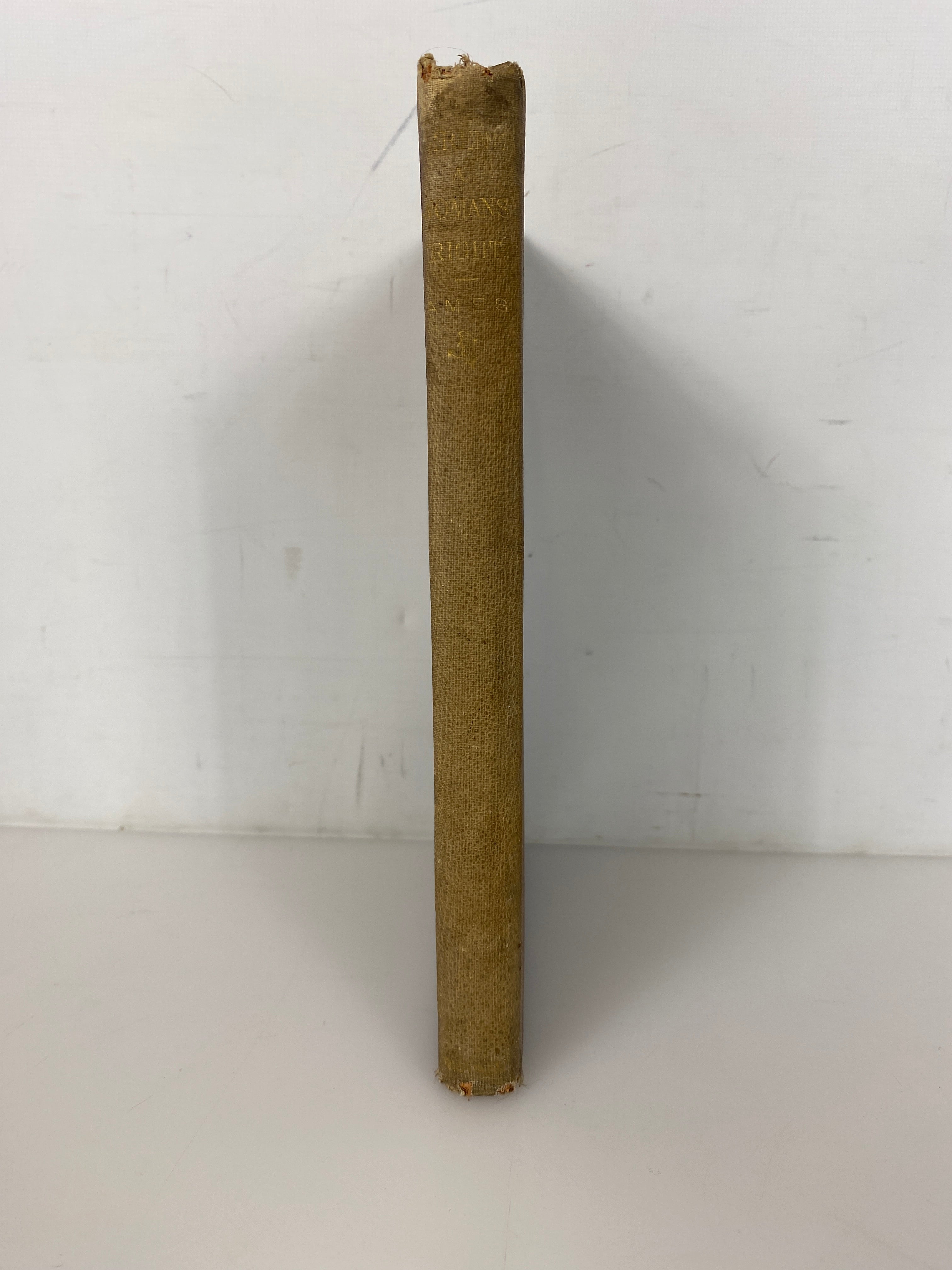 Eirene; or a Woman's Right by Mary Clemmer Ames 1871 Rare Antique HC