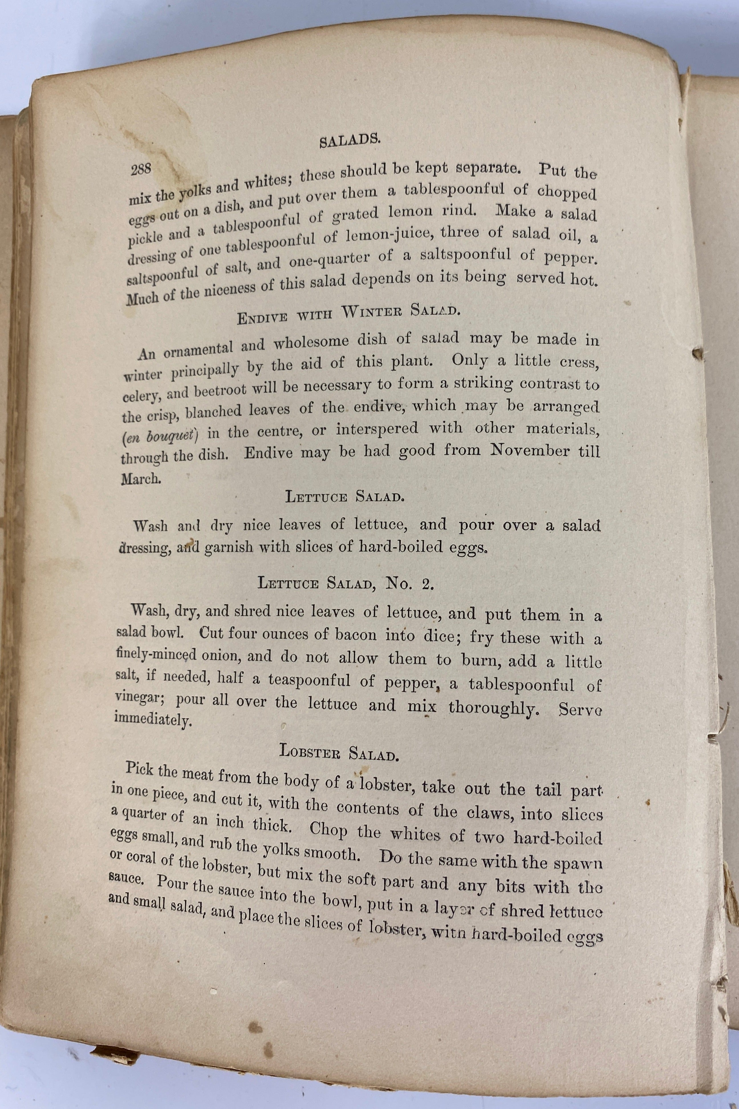 Our Home Cyclopedia: Cookery and Housekeeping 1889 HC
