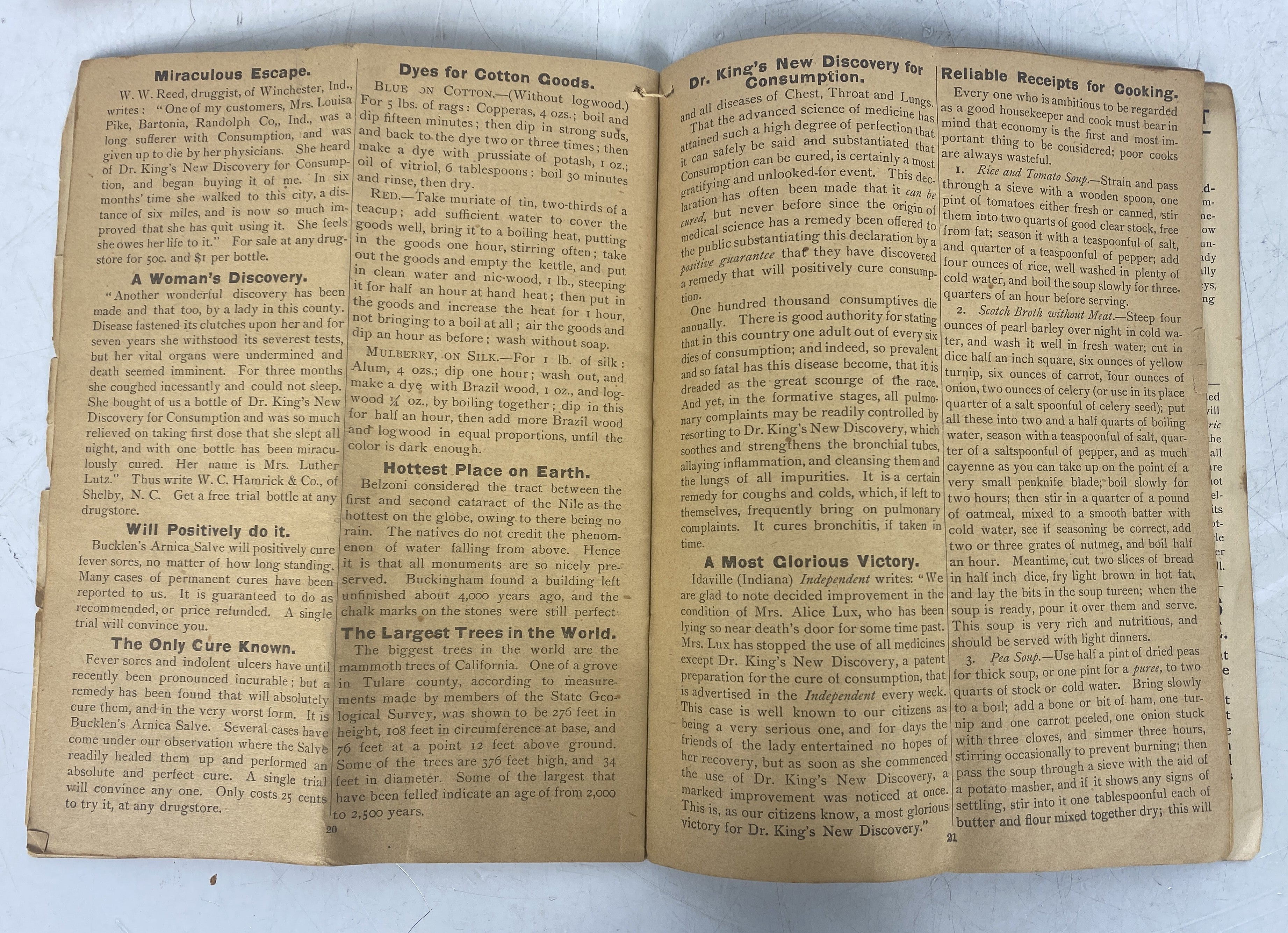 Lot of 2 Dr. King's Guide to Health Vintage Magazine (Late 1800s)